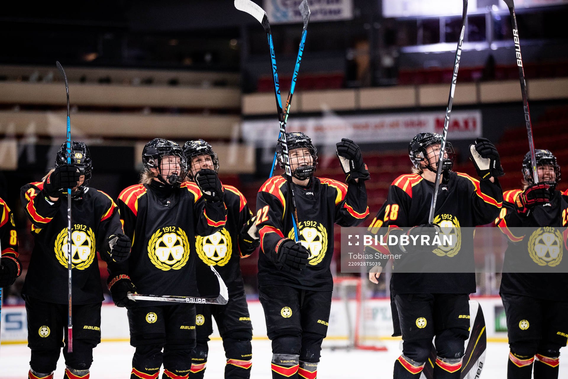 Brynäs spelare jublar