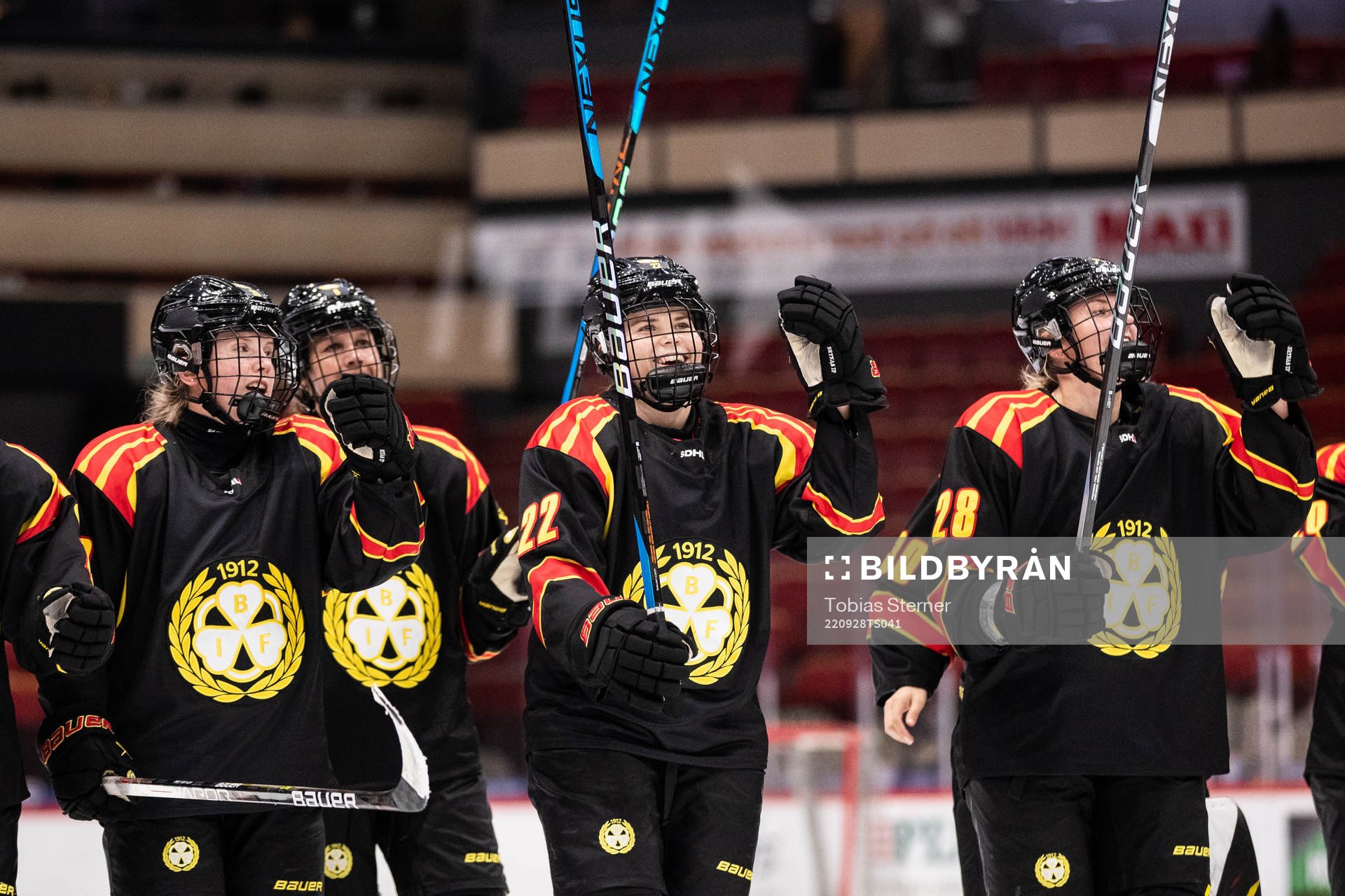 Brynäs spelare jublar