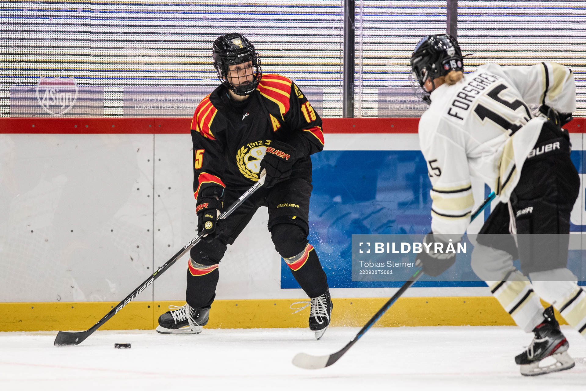 Brynäs Lara Stalder