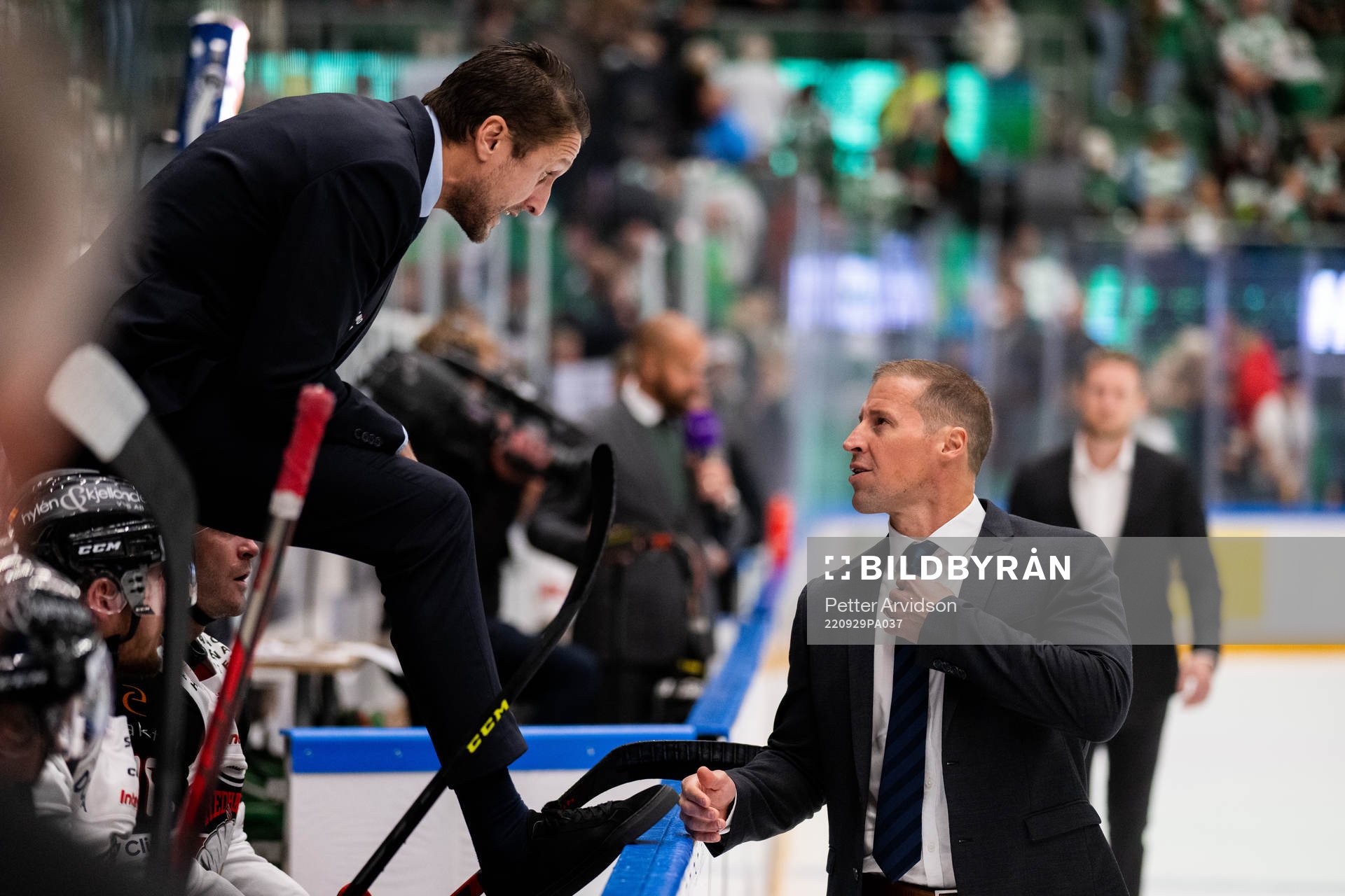 Malmö Redhawks tränare Tomas Kollar och Rögles tränare