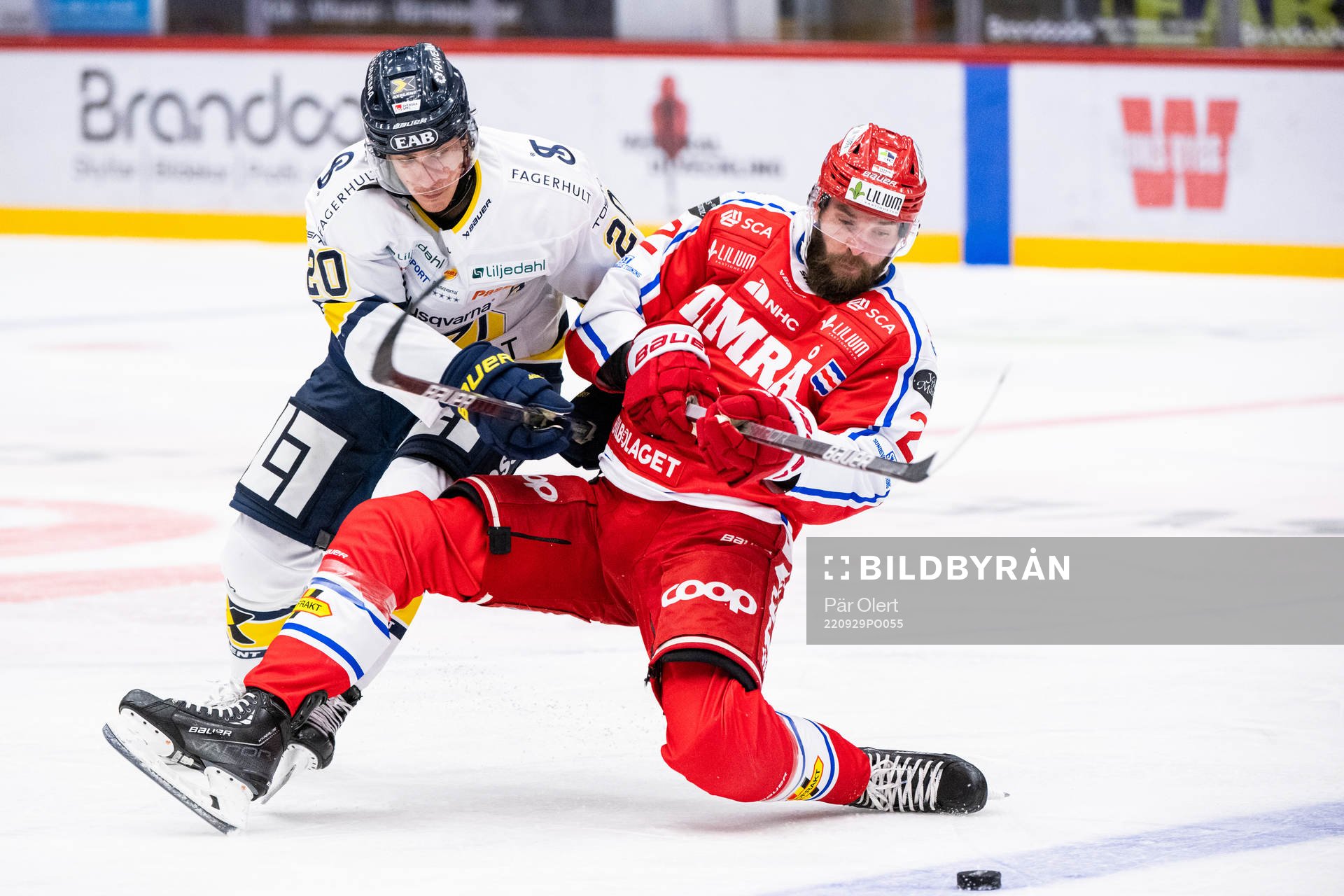 HV71s André Petersson och Timrås Per Svensson