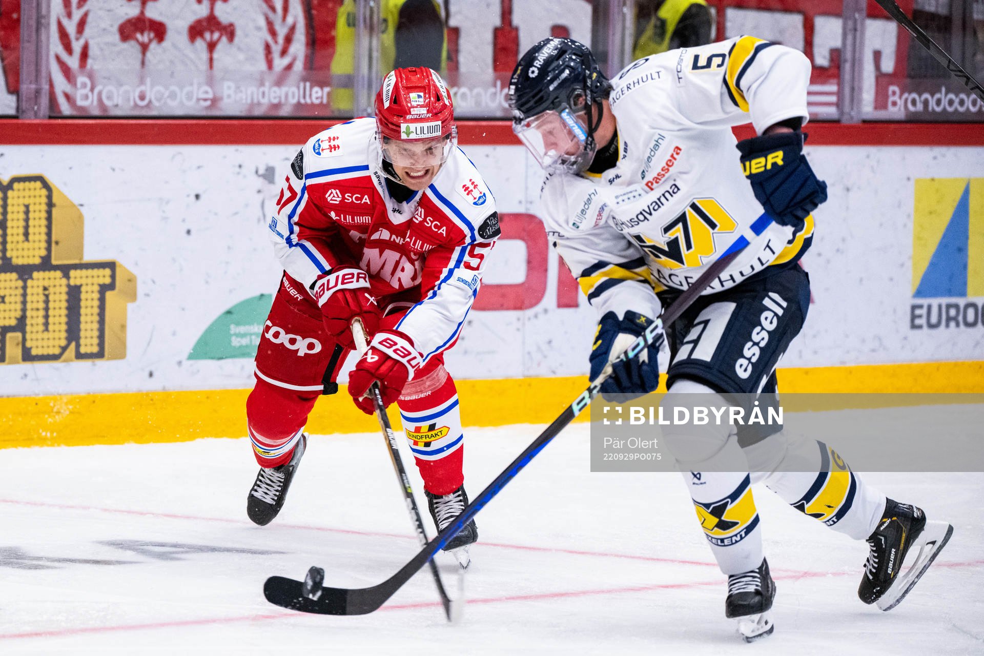 Timrås Anton Wedin och HV71s Victor Sjöholm