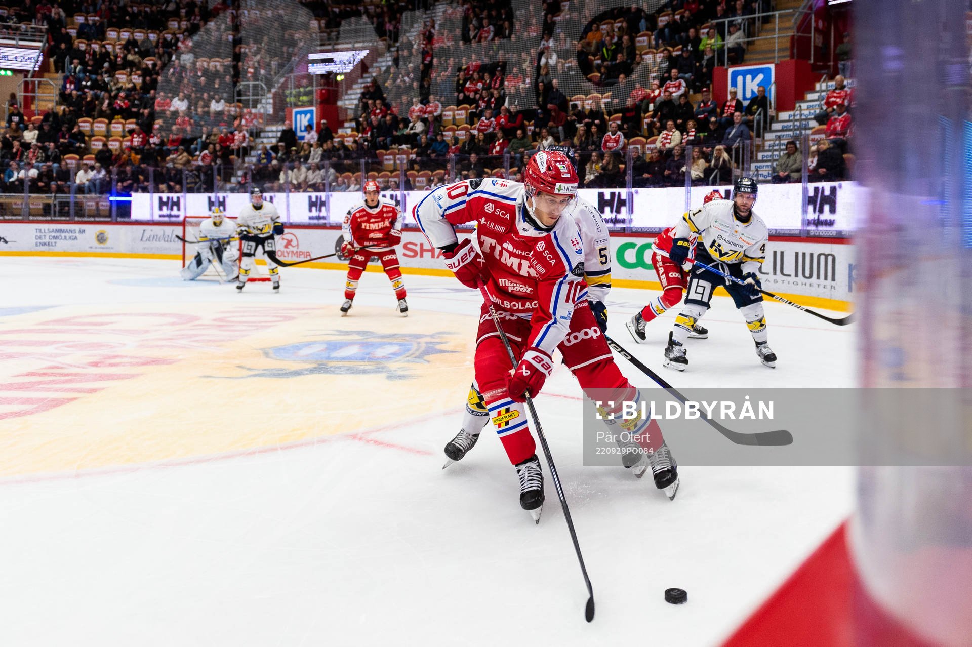 Timrås Robin Alvarez