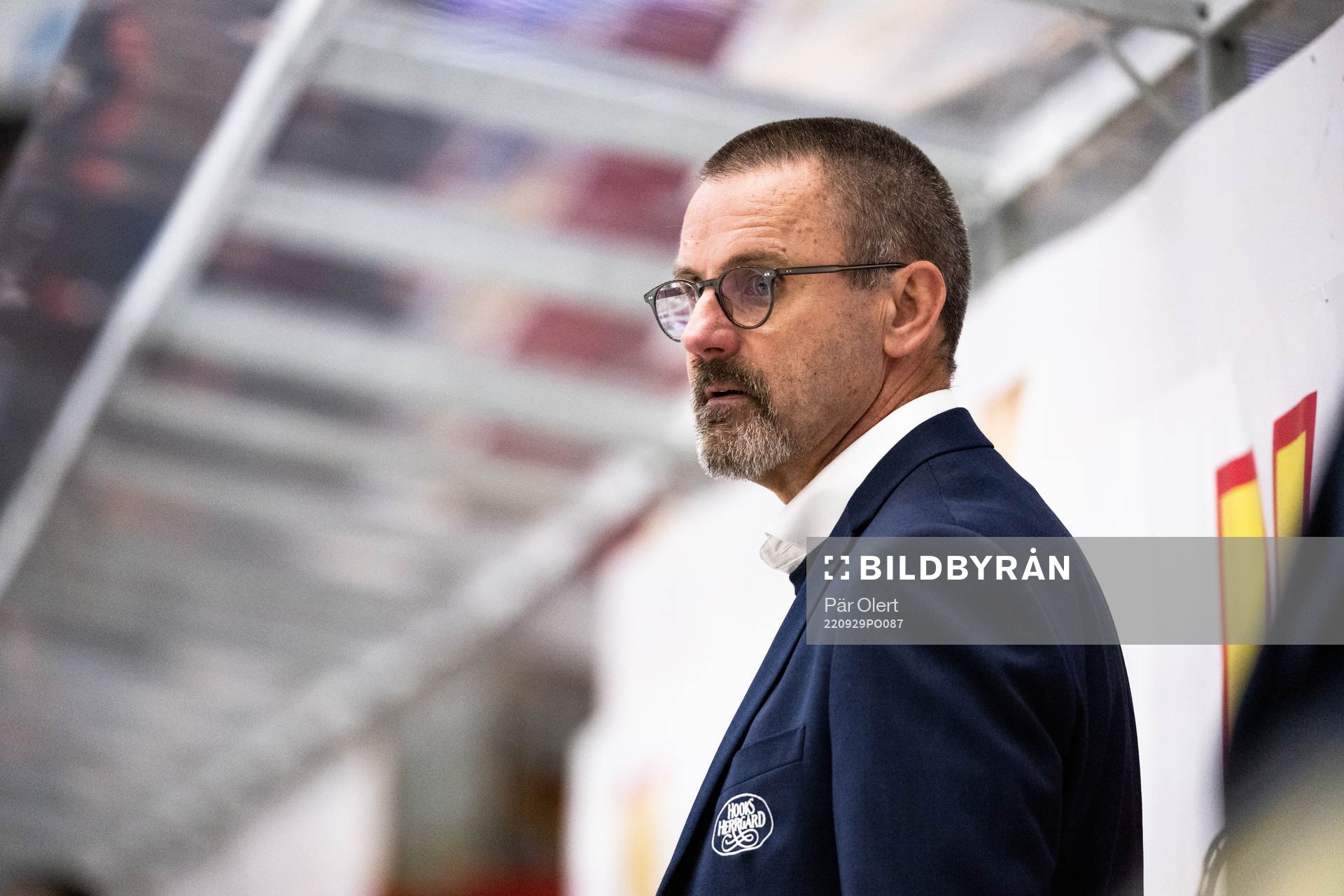 HV71s tränare Tommy Samuelsson