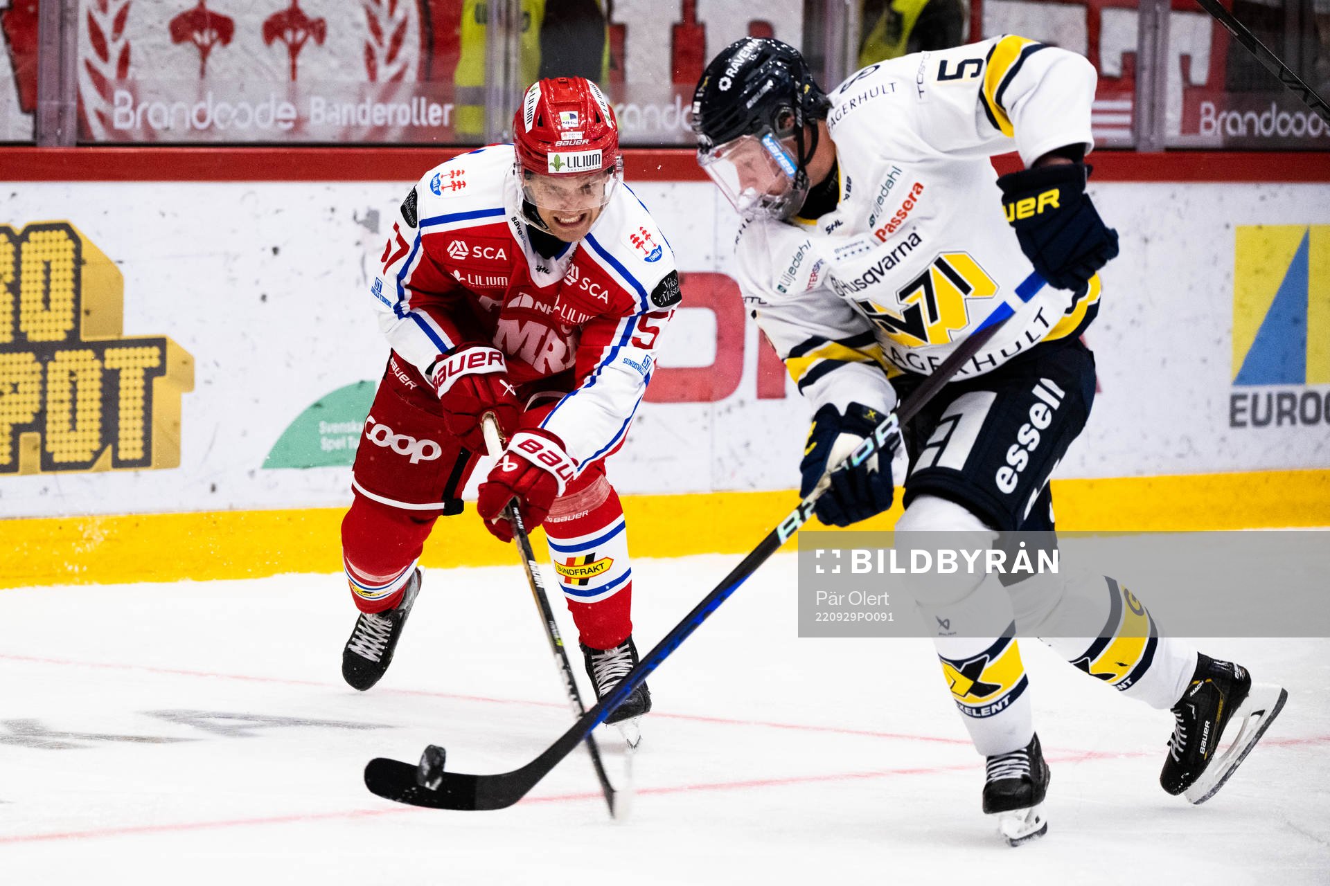 Timrås Anton Wedin och HV71s Victor Sjöholm