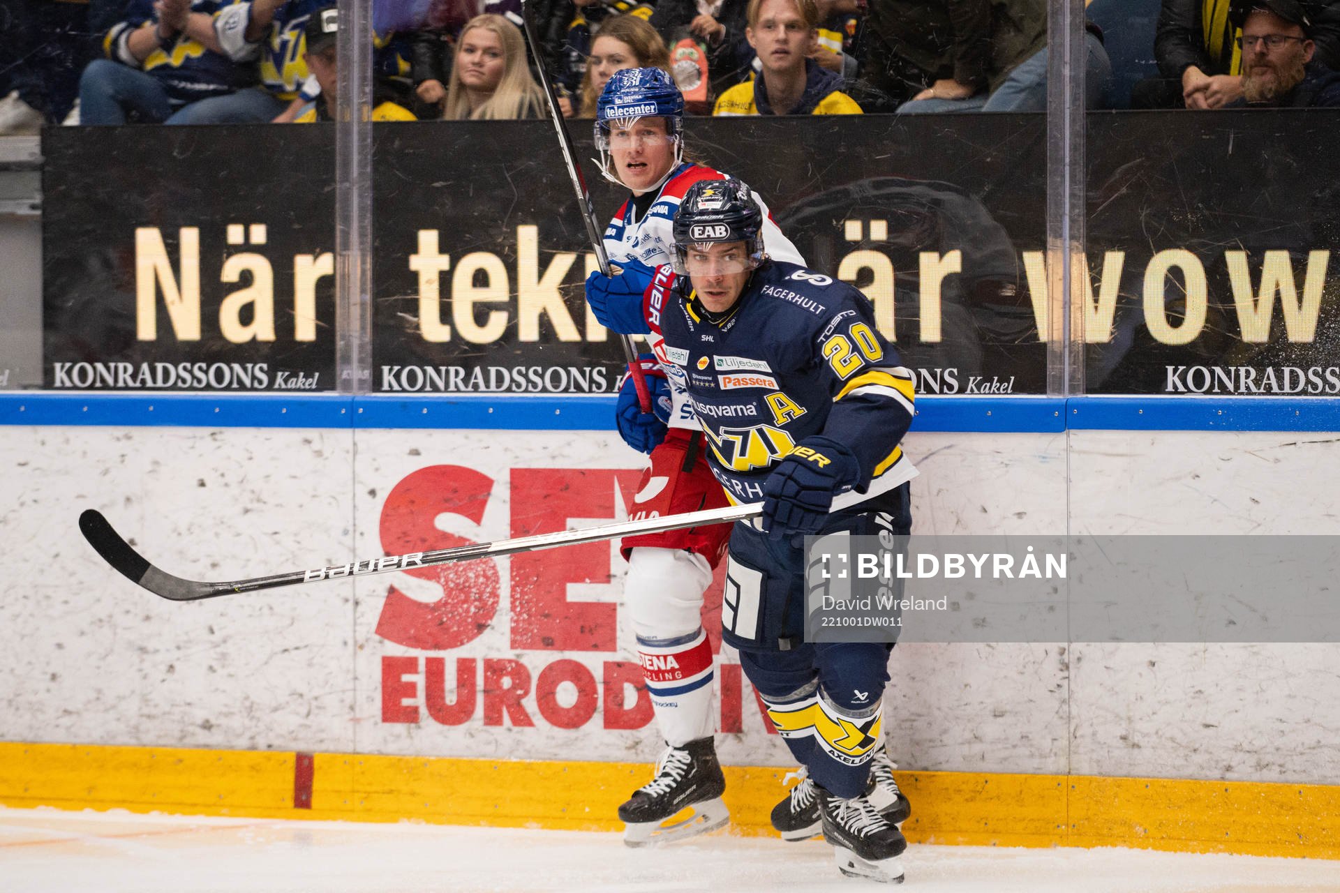 HV71s André Petersson