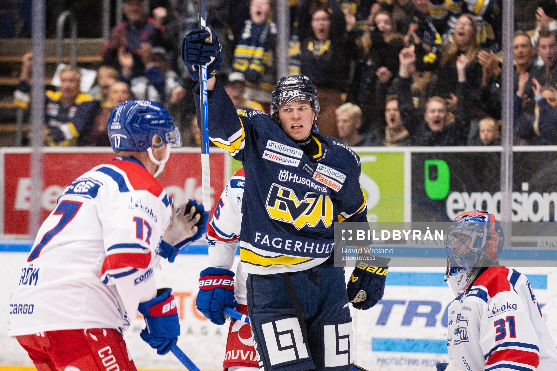 HV71s Måns Lindbäck jublar