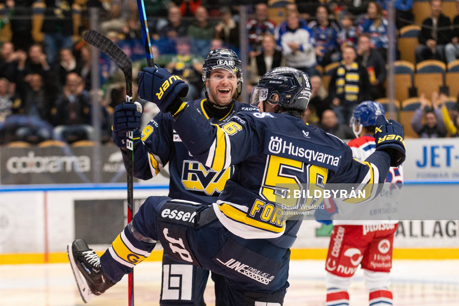 HV71s Fredrik Forsberg jublar