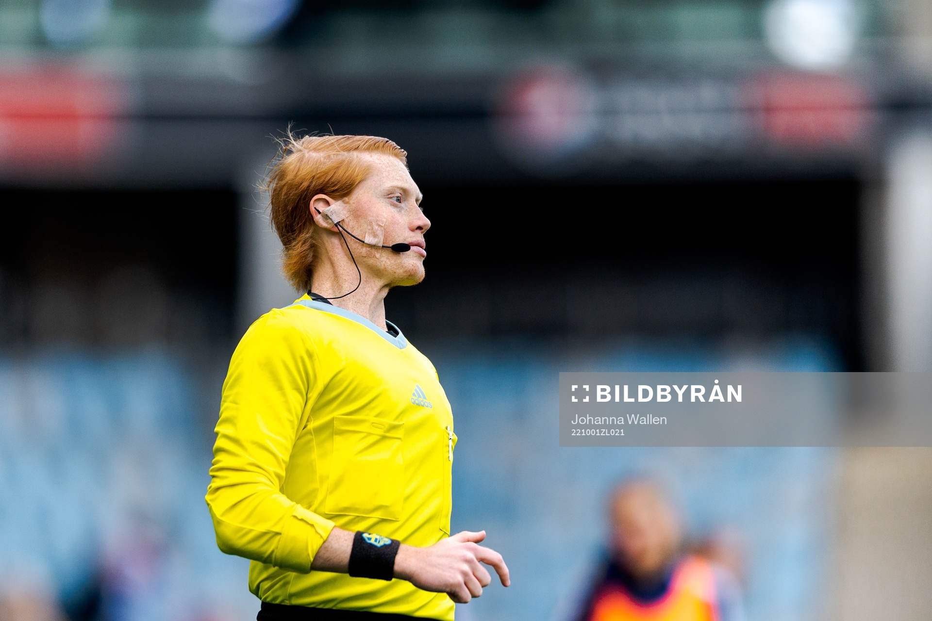 Domare Casper Ellervik