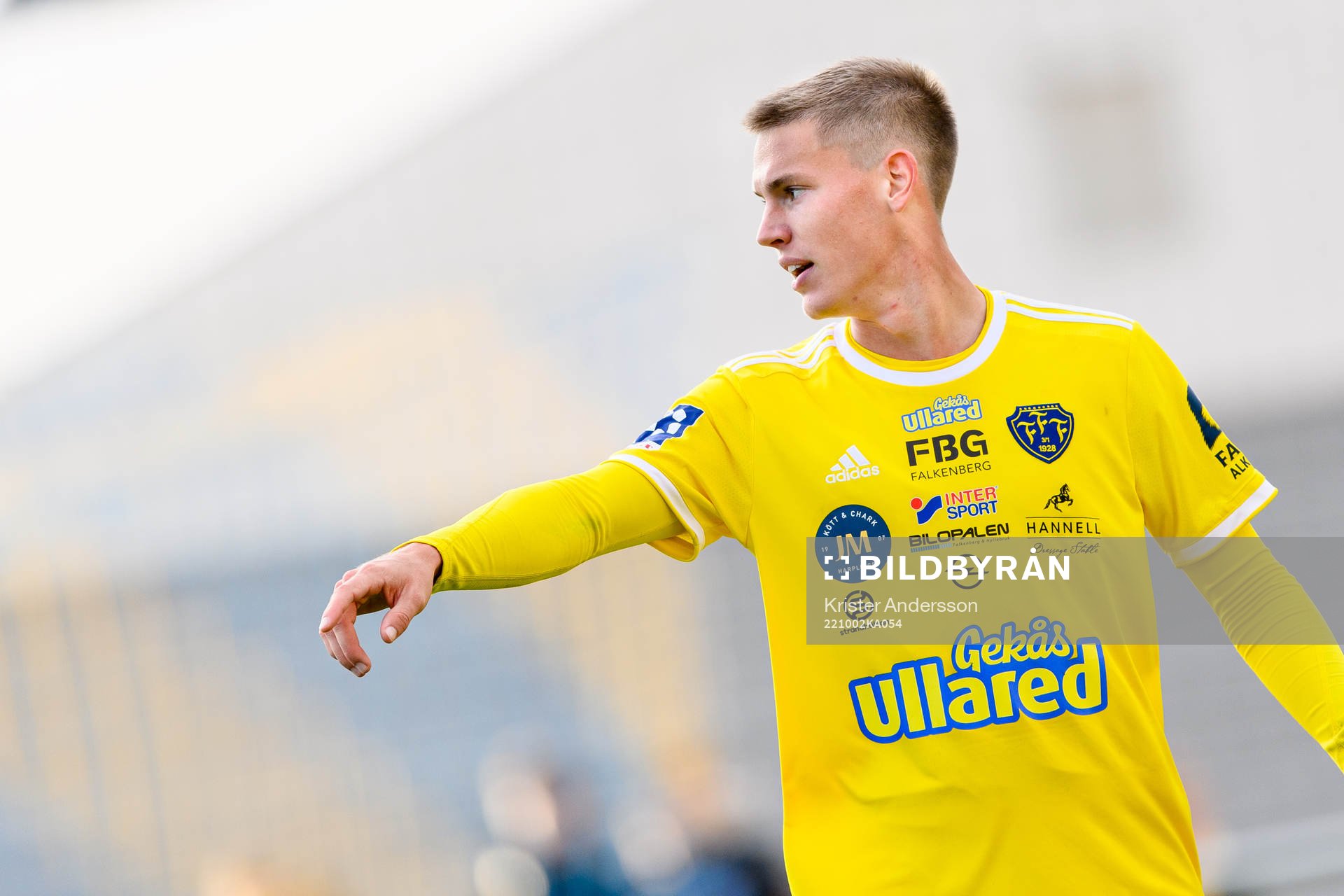 Falkenbergs Taylor Silverholt