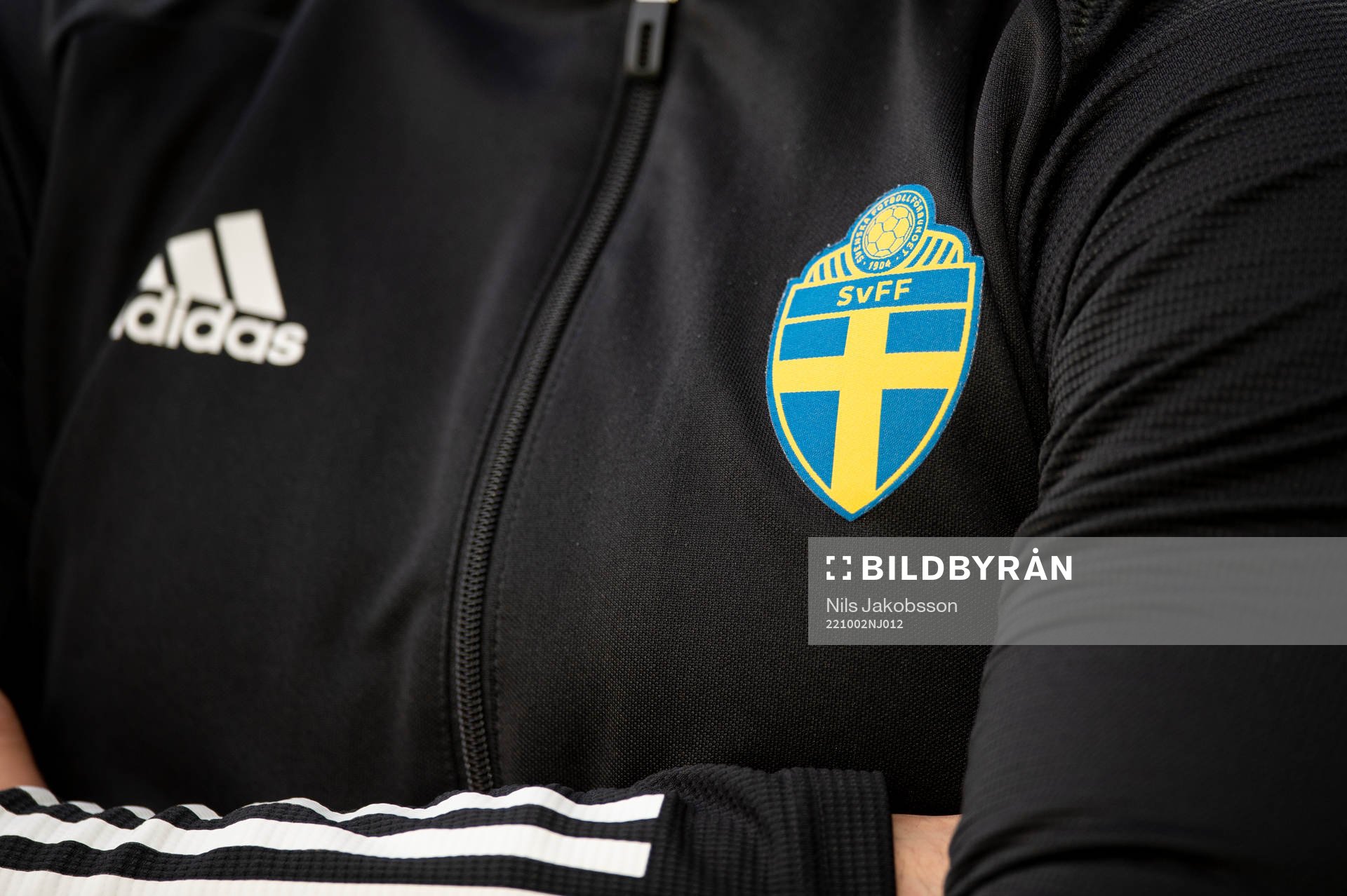Svenska Fotbollförbundets emblem på en domartröja