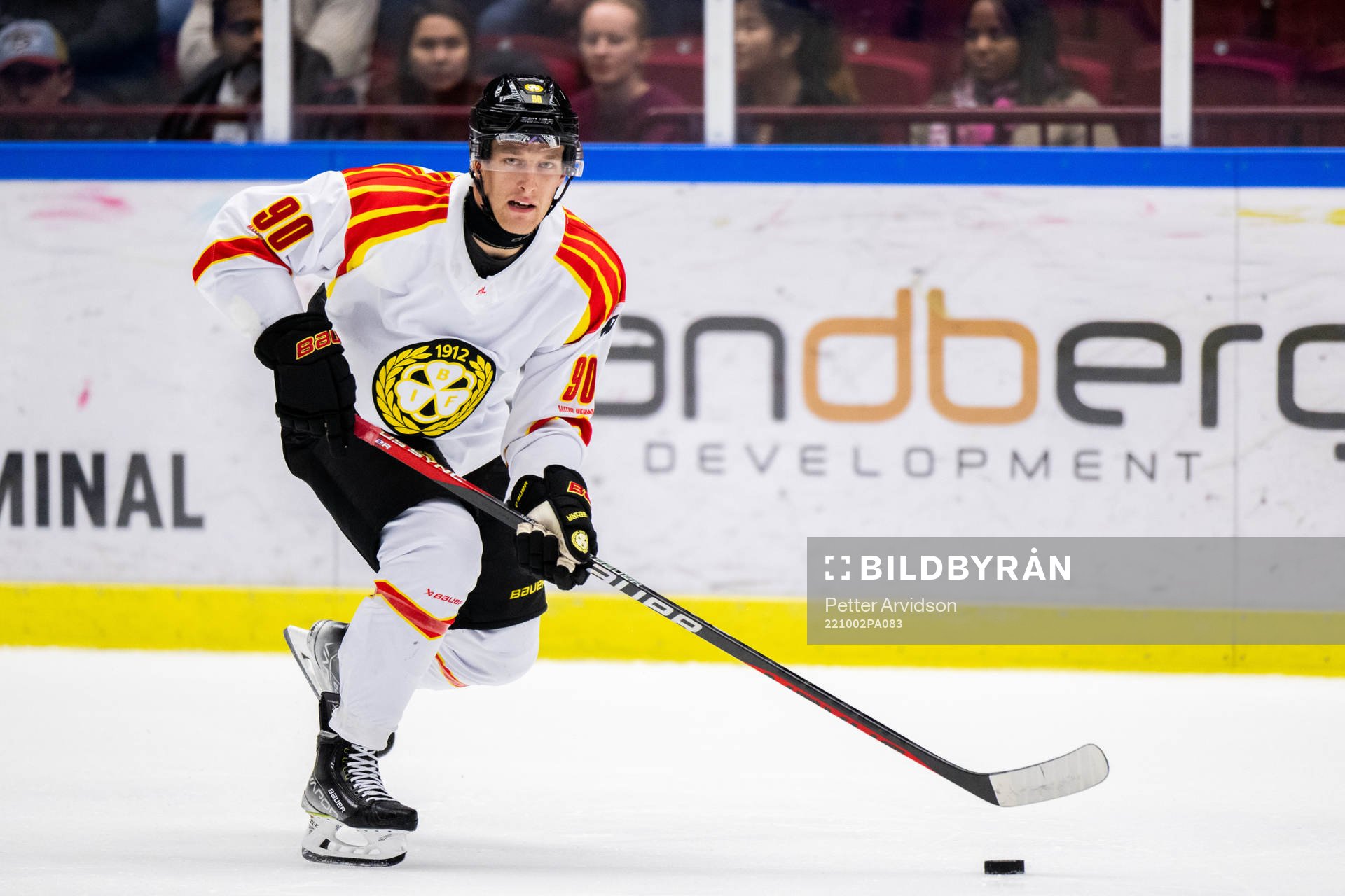 Brynäs David Sklenicka