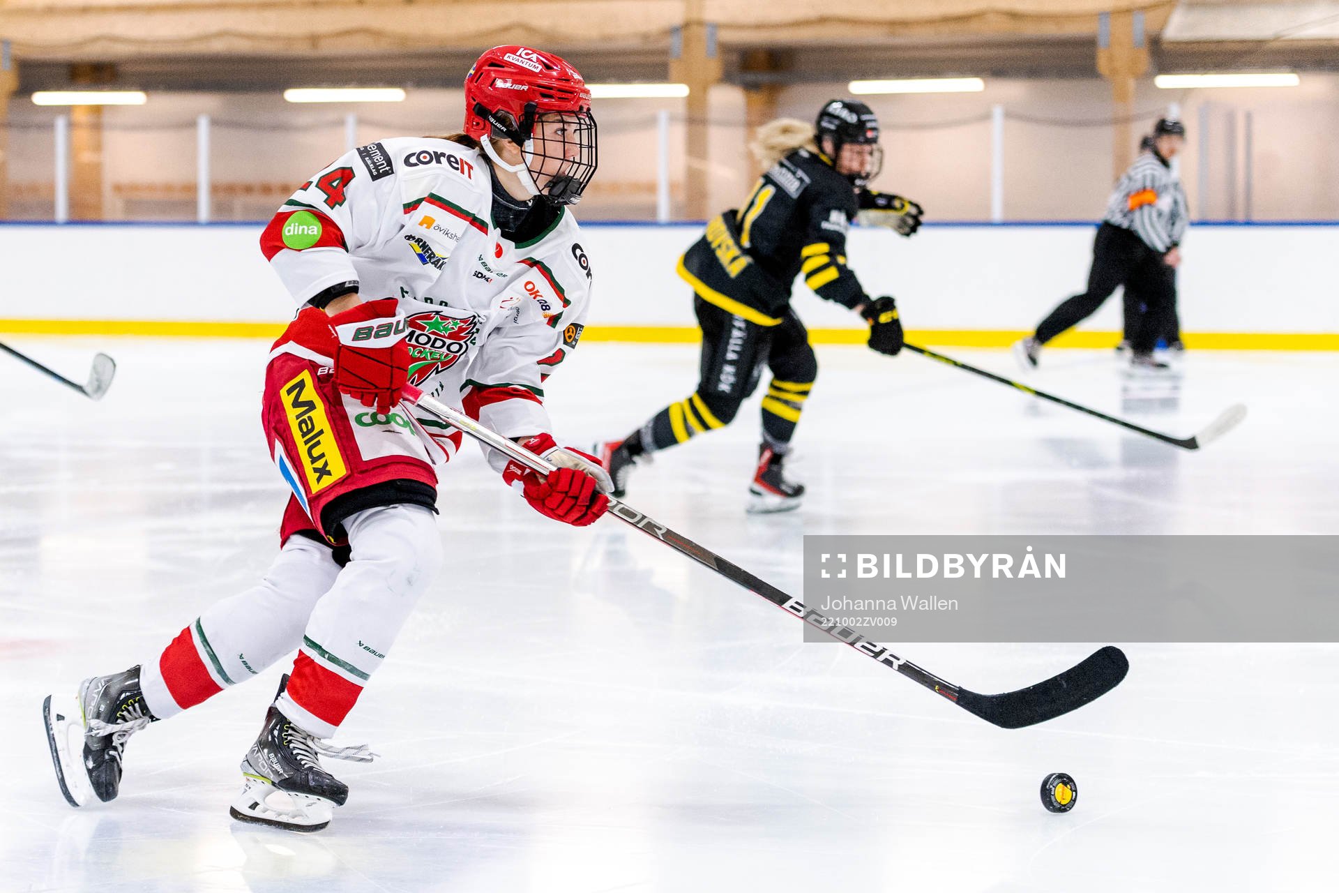 Modos Ebba Hedqvist