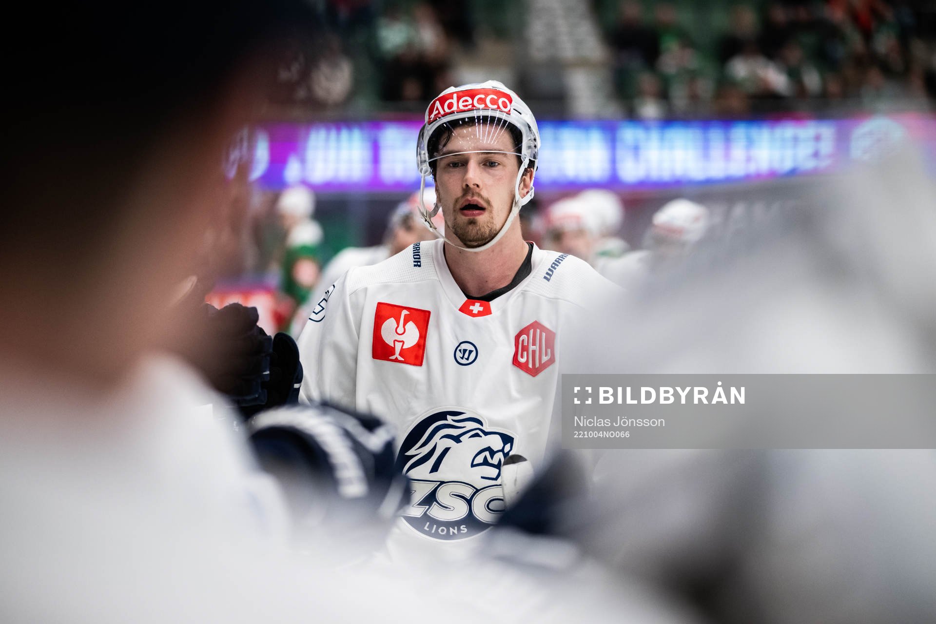 Juho Lammikko of ZSC Lions celebrates