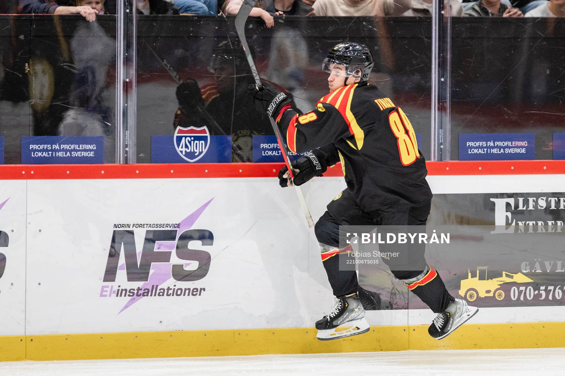 Brynäs Dmytro Timashov jublar