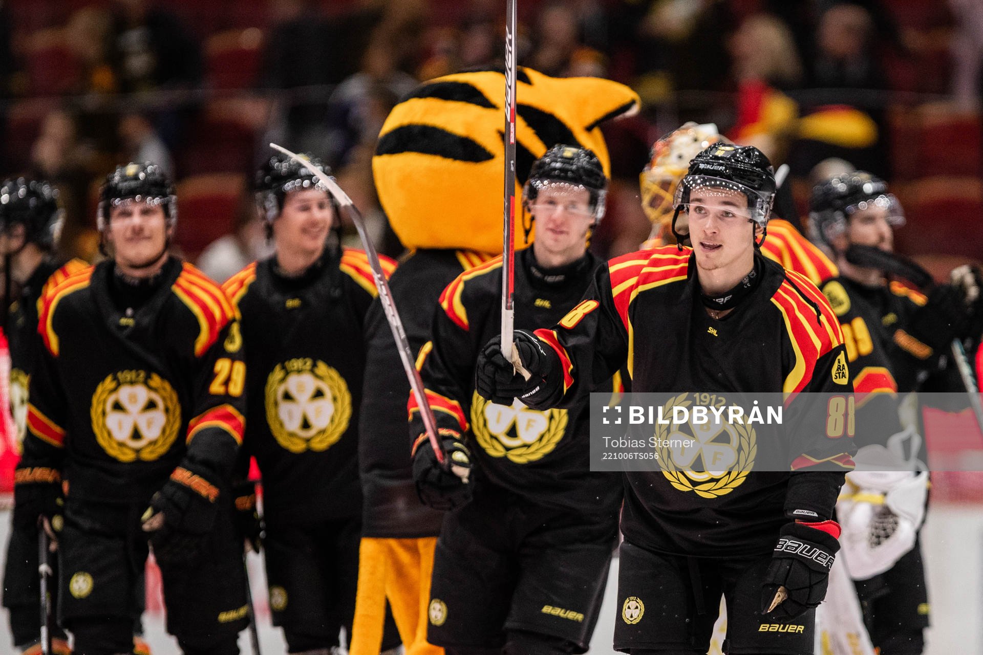 Brynäs Dmytro Timashov jublar