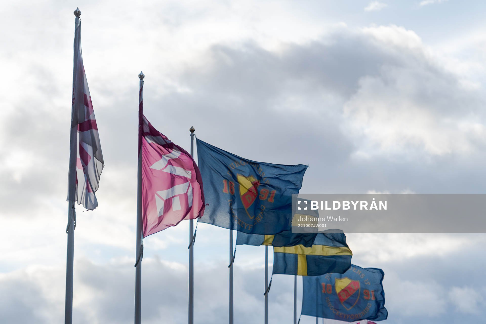 Djurgårdens flagga