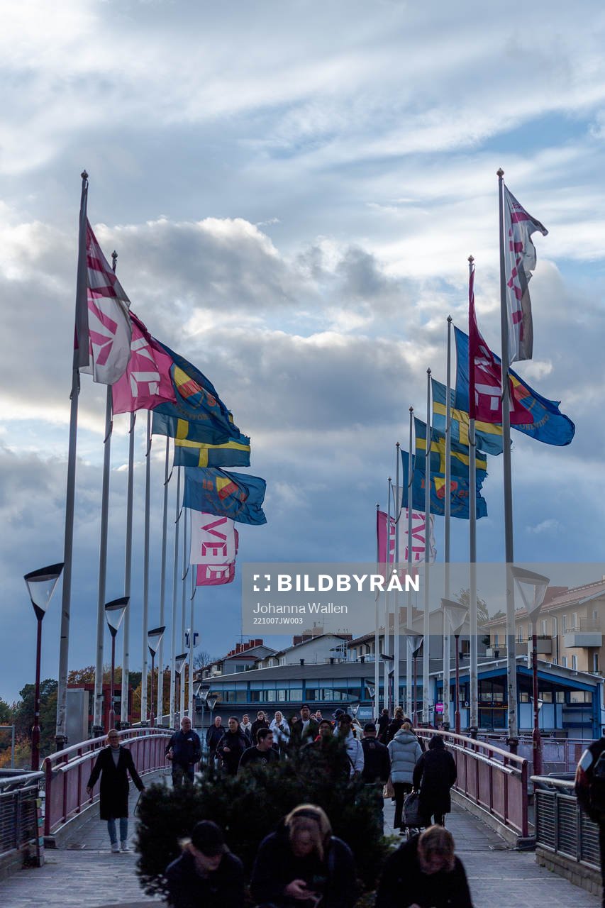 Djurgårdens flagga