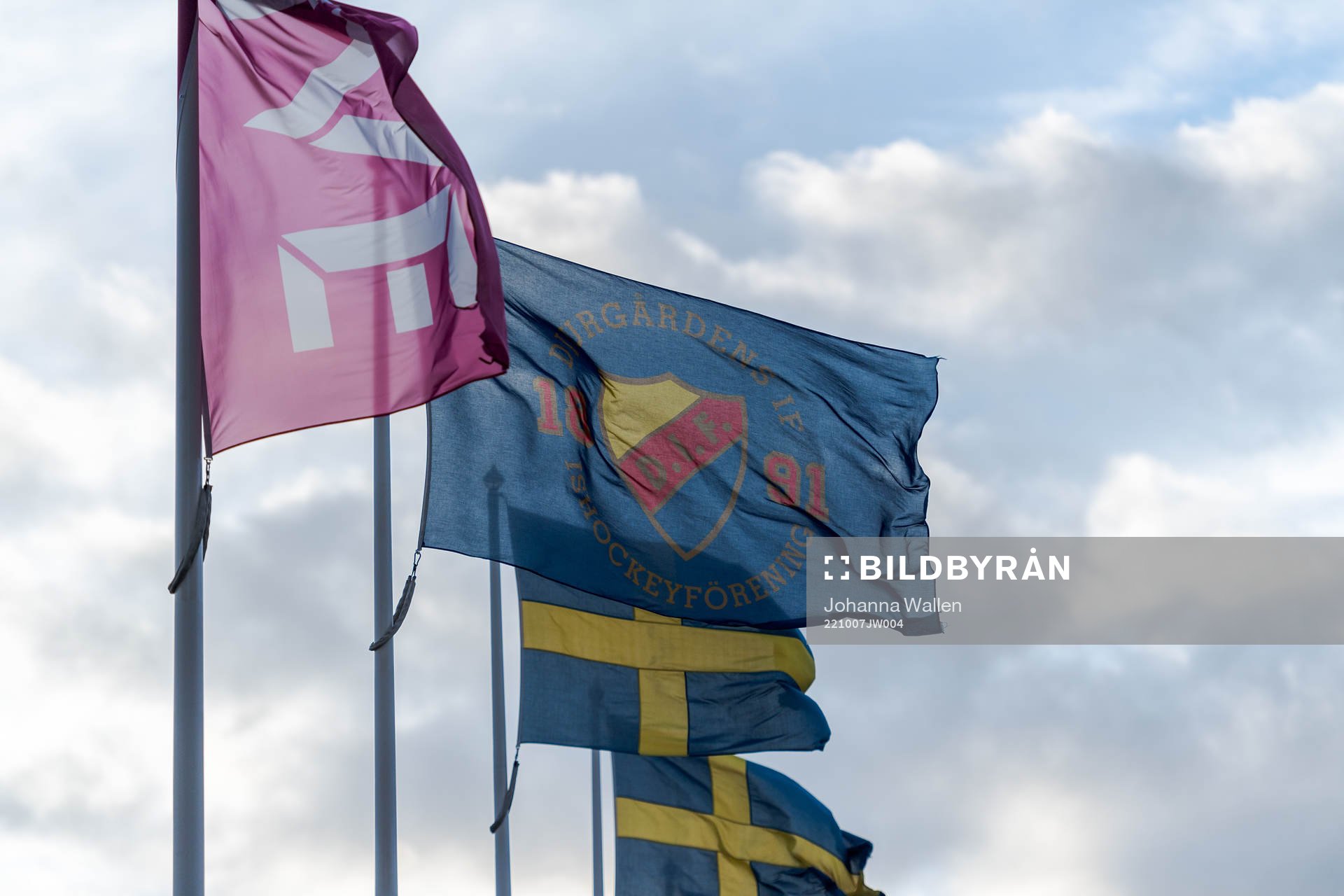 Djurgårdens flagga
