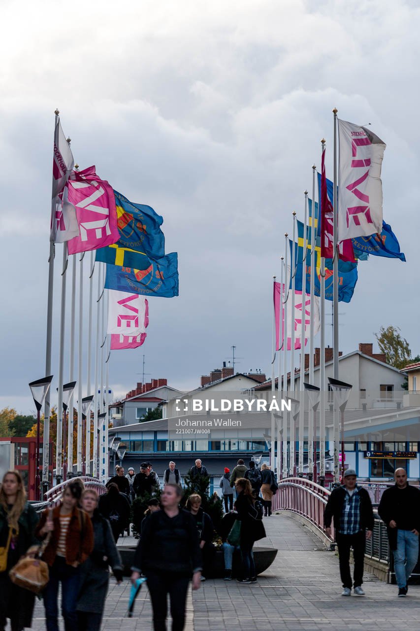 Djurgårdens flagga