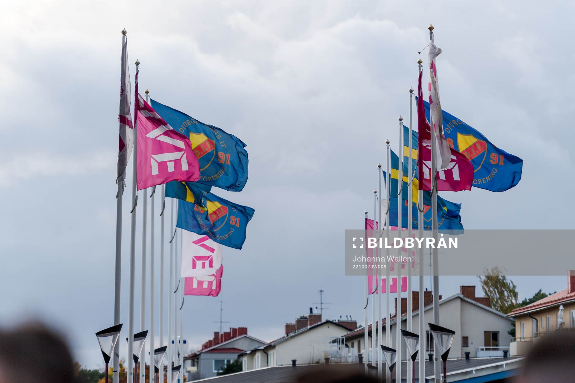 Djurgårdens flagga
