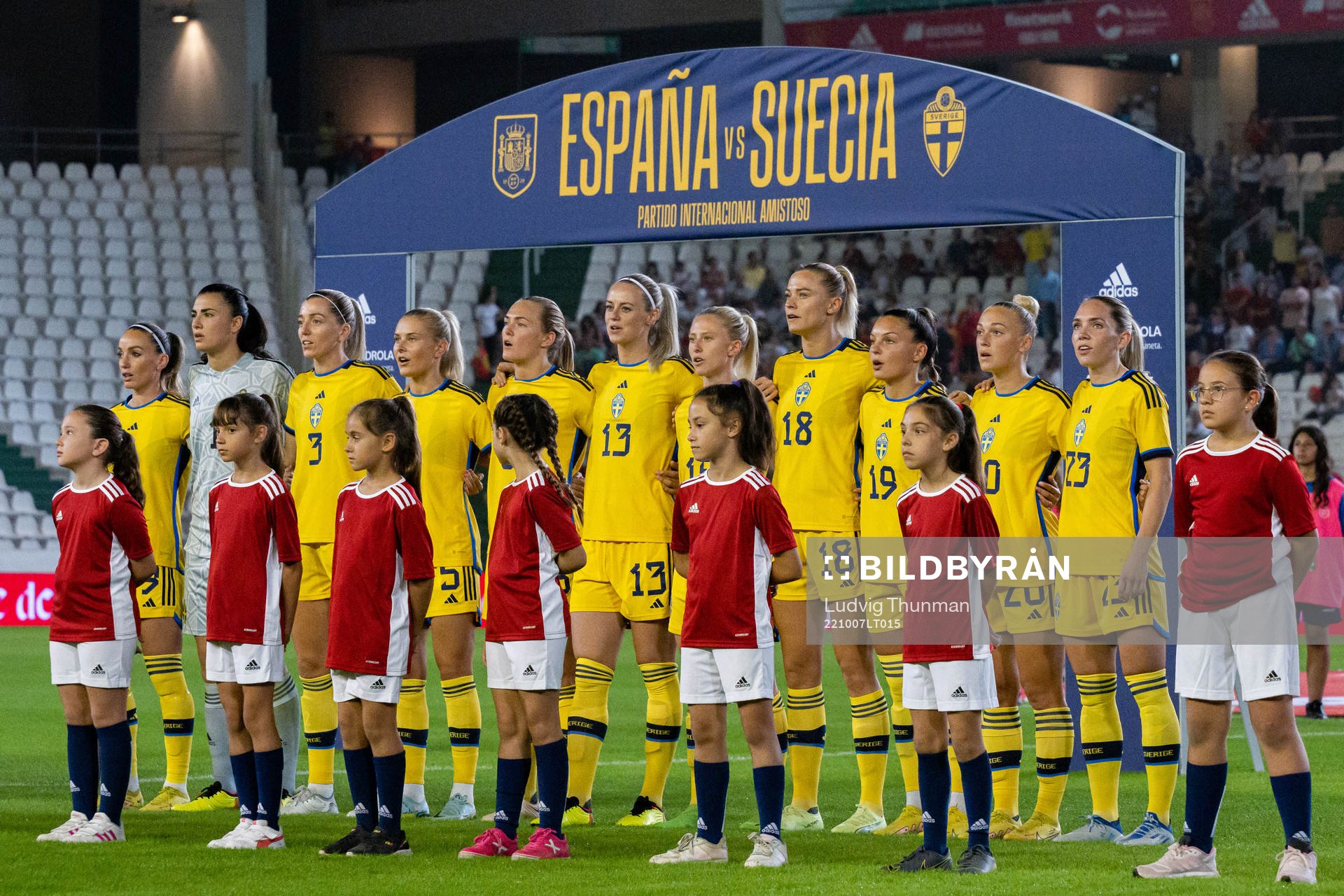 Players of Sweden
