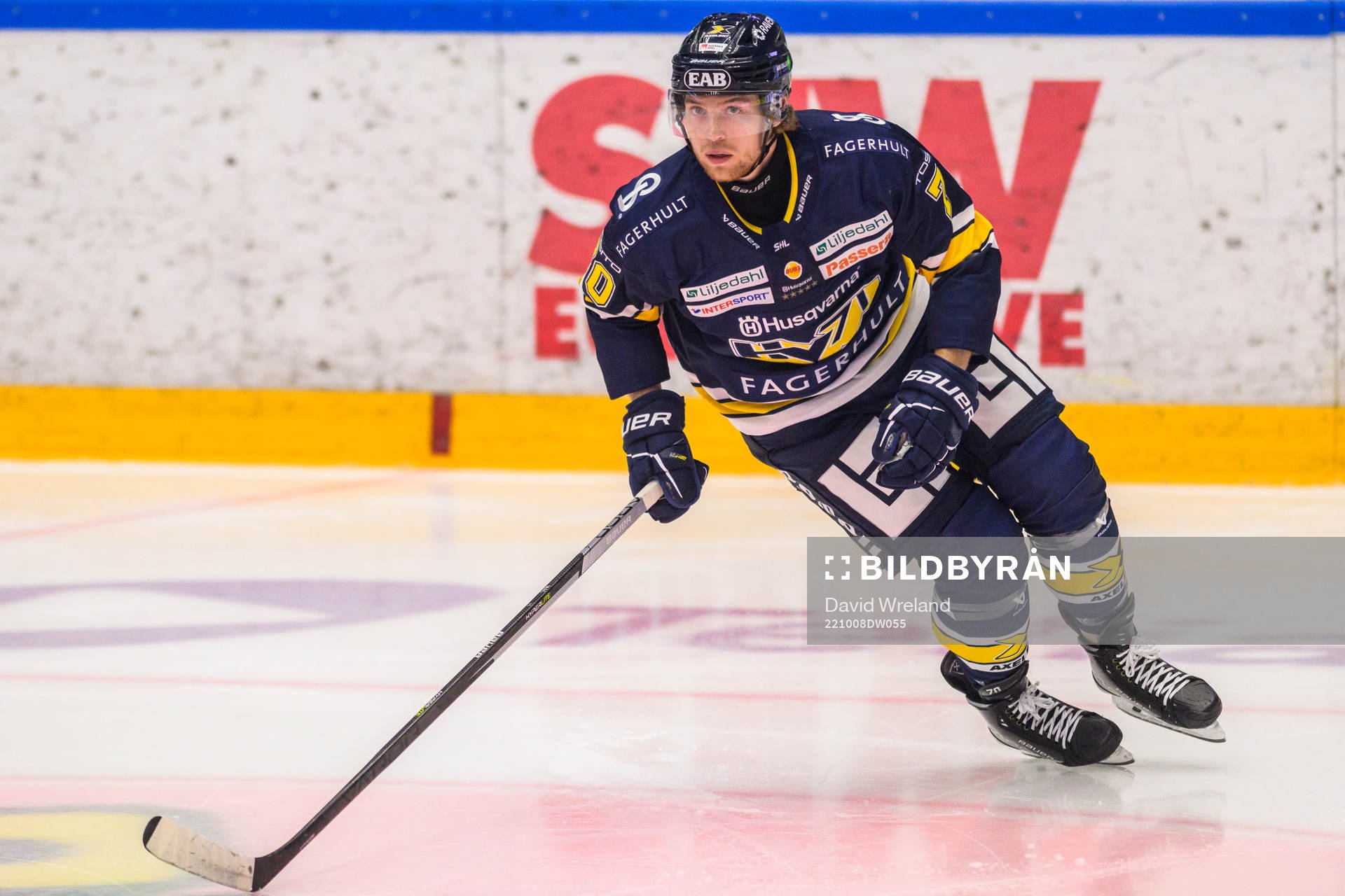 HV71s Marcus Davidsson