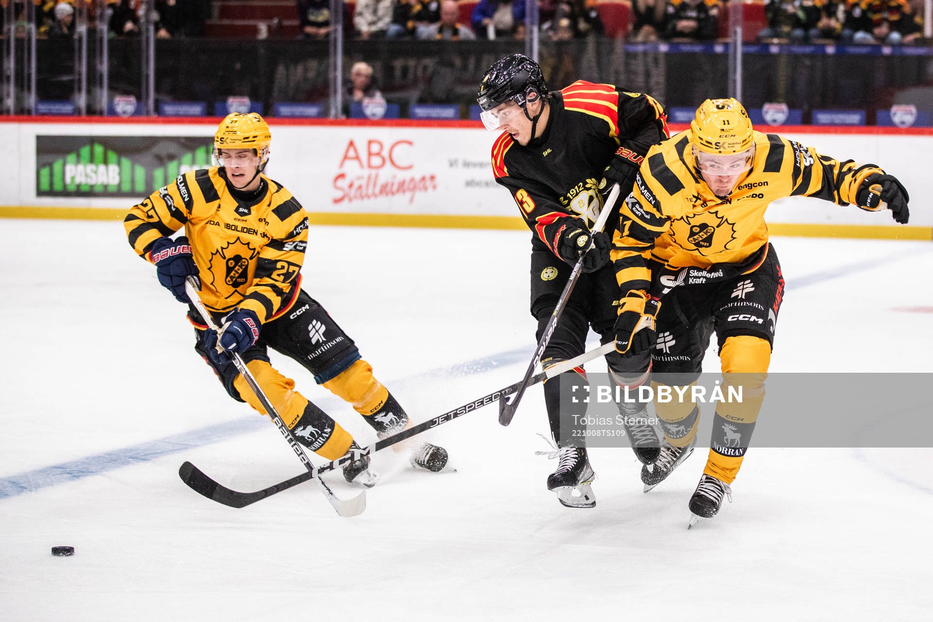 Skellefteås Gabriel Säll, Brynäs Samuel Johannesson och