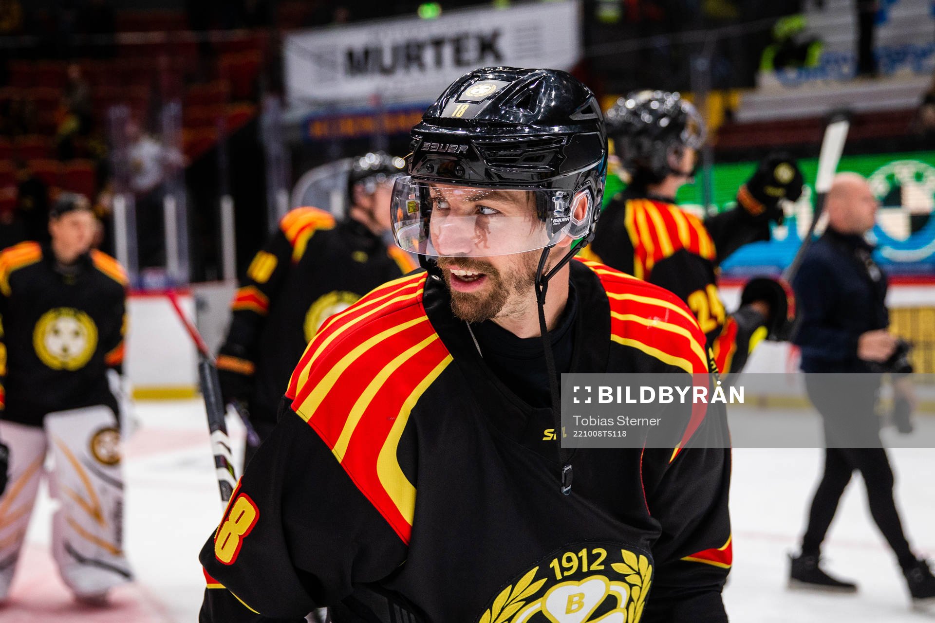 Brynäs Anton Rödin