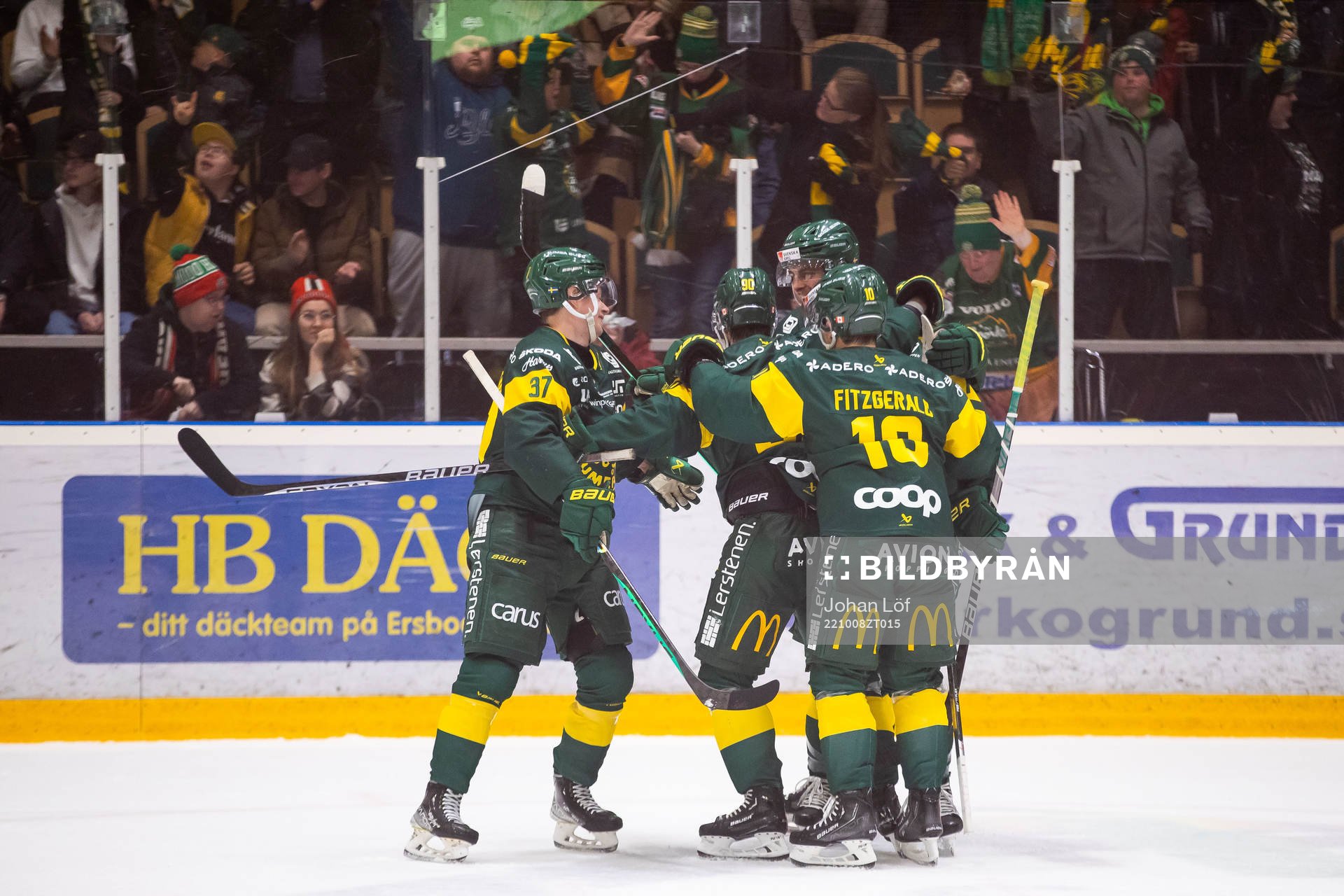 Björklöven jublar