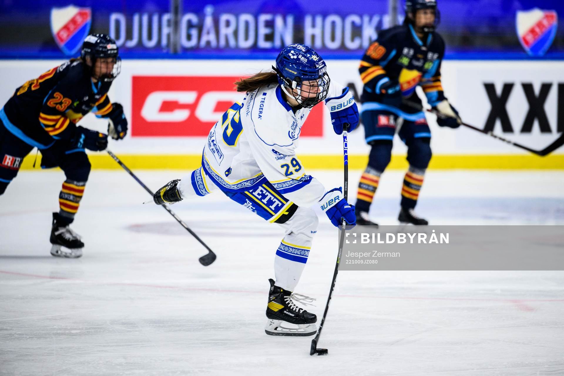 Leksands Annika Fazokas
