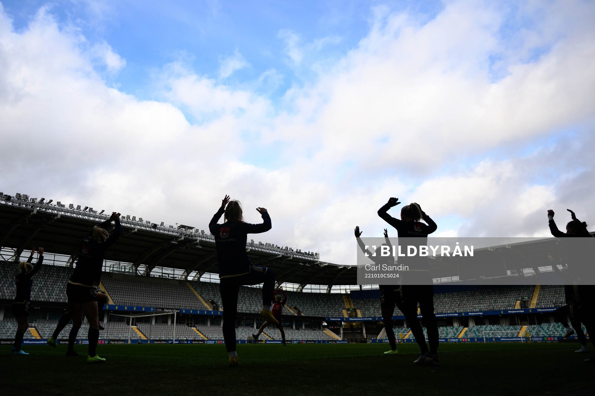 Players of the Swedish women's national football team
