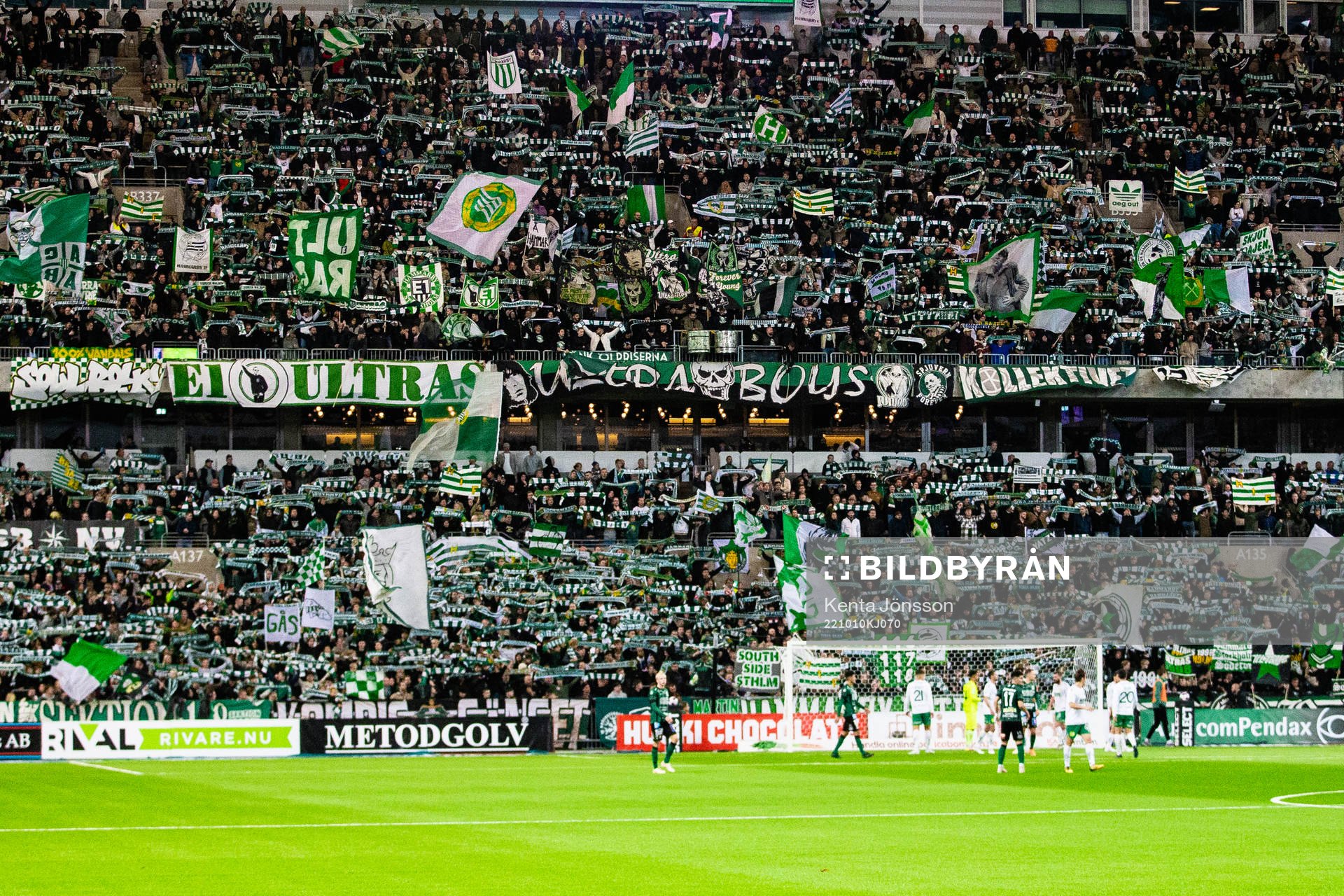 Hammarbys supportrar