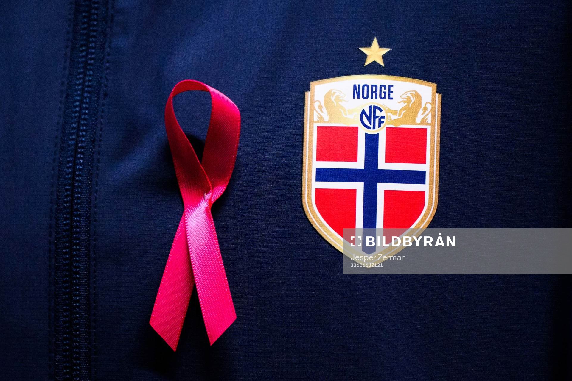 The lofotype of the Norwegian football federation