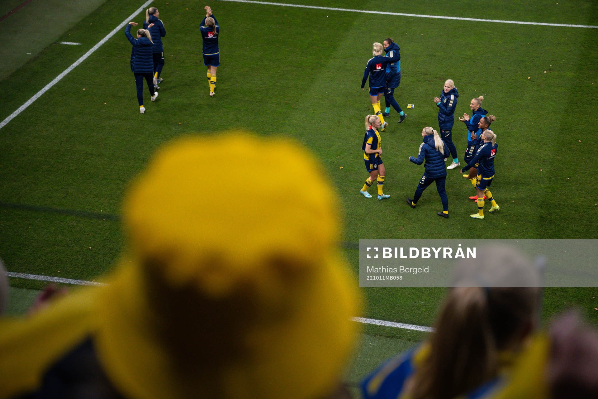 Players of Sweden celebrates