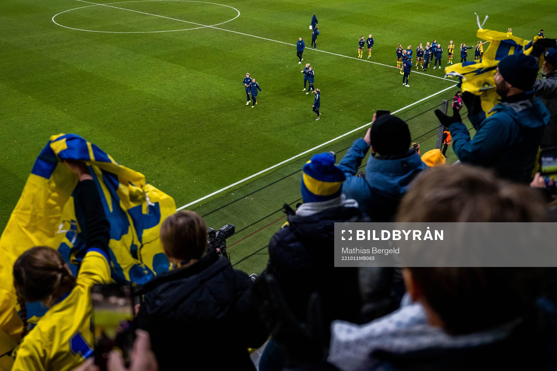 Fans in the stands celebrate with players of Sweden
