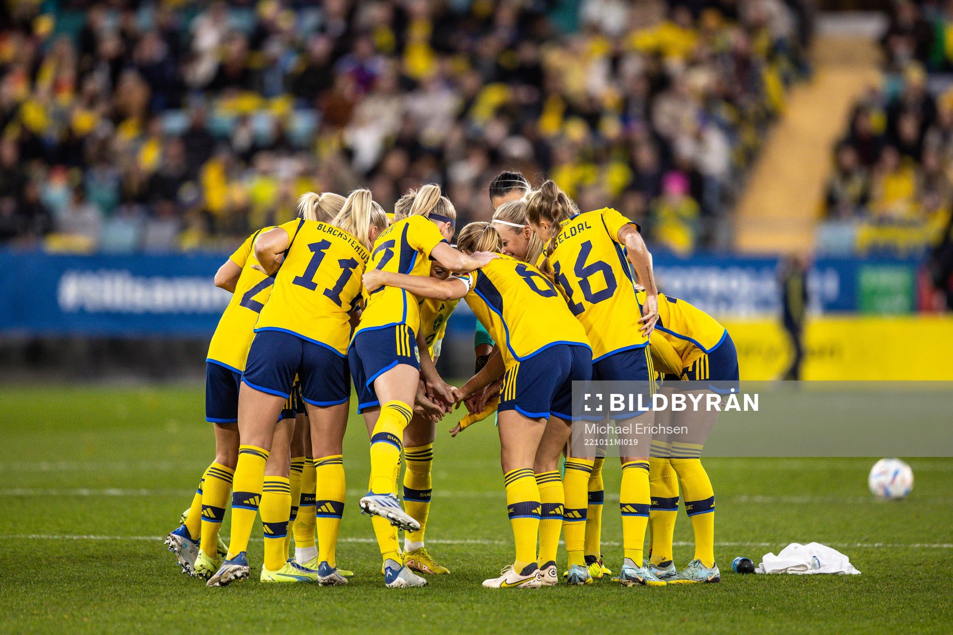 The players of Sweden