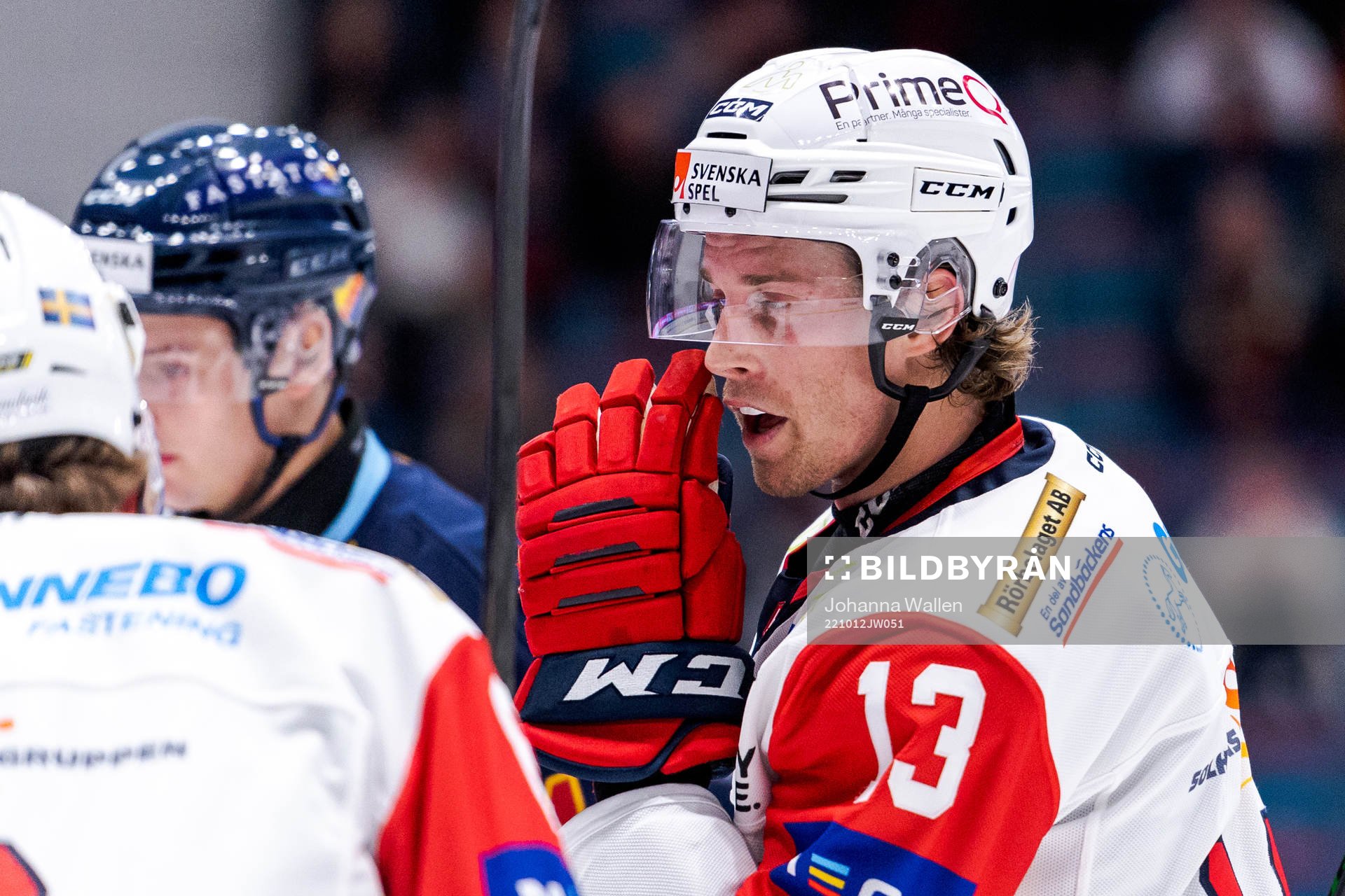 Västerviks Troy Loggins