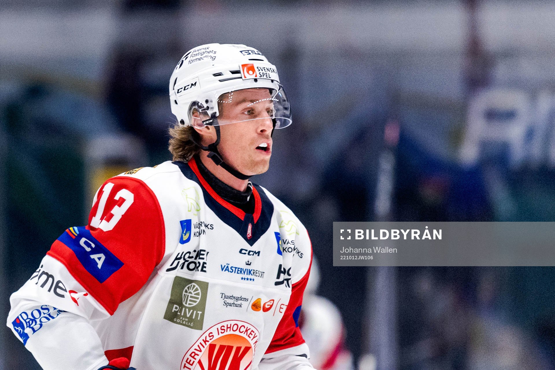 Västerviks Troy Loggins