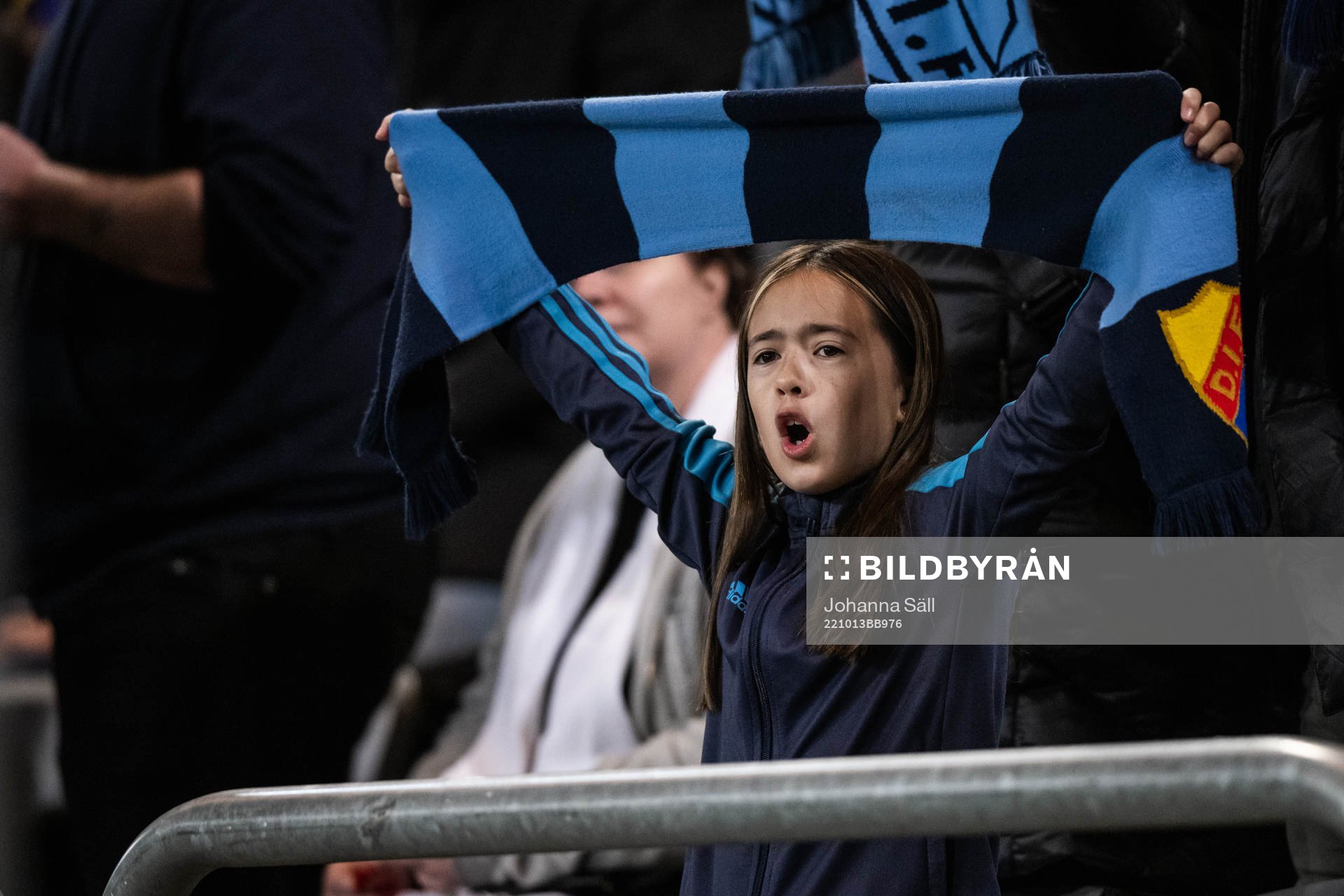 A fan of Djurgården