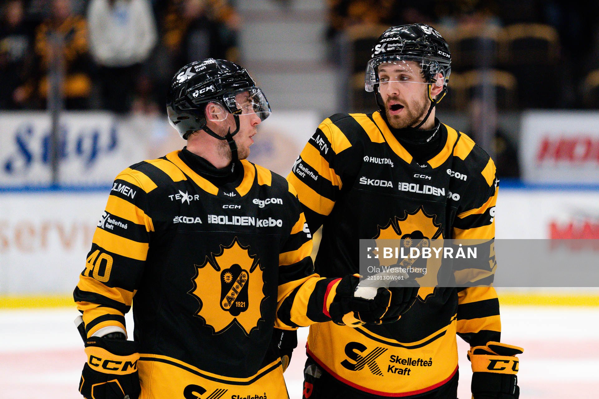 Skellefteås Andreas Wingerli och Arvid Lundberg