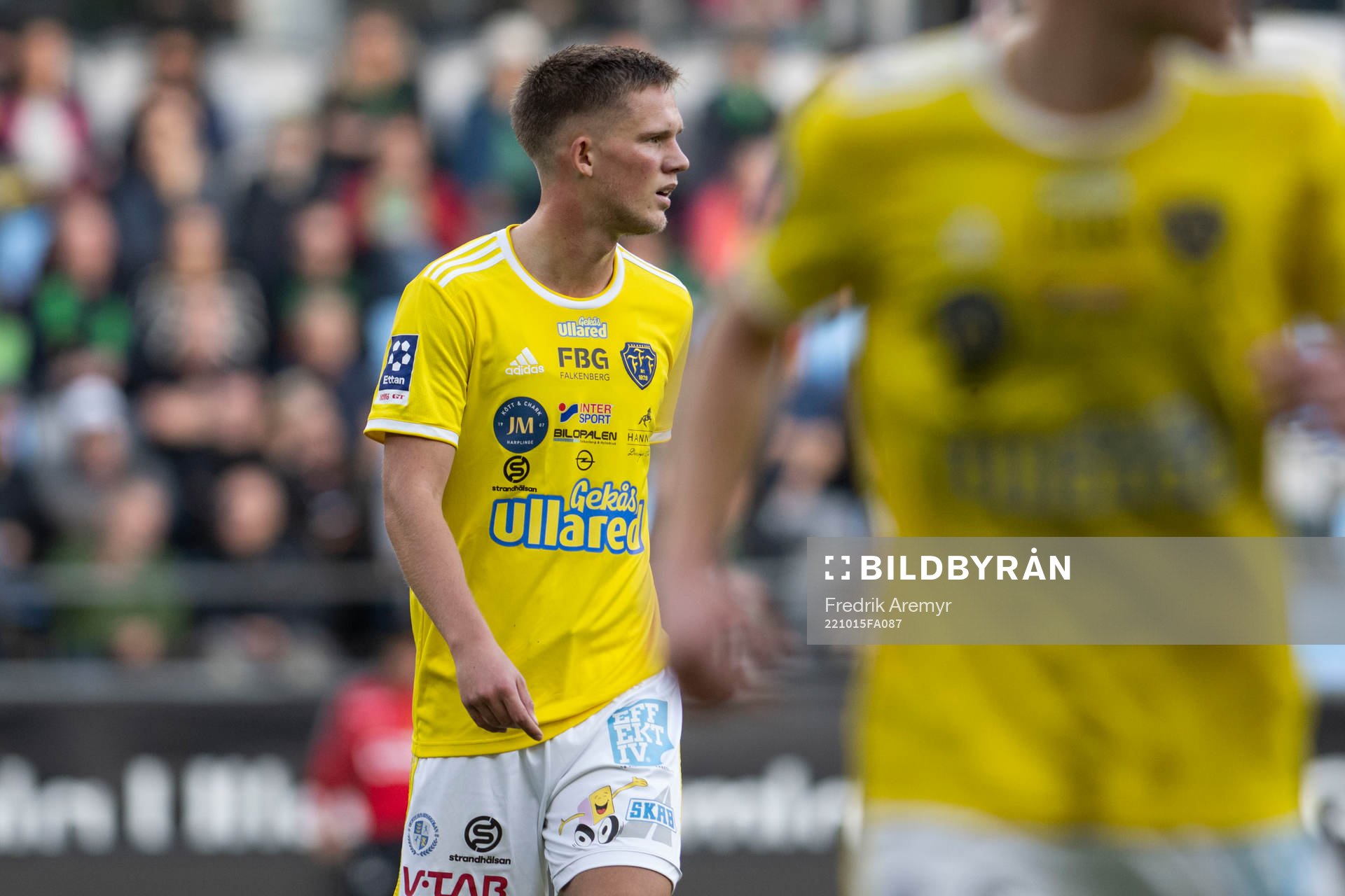 Falkenbergs Tim Stålheden