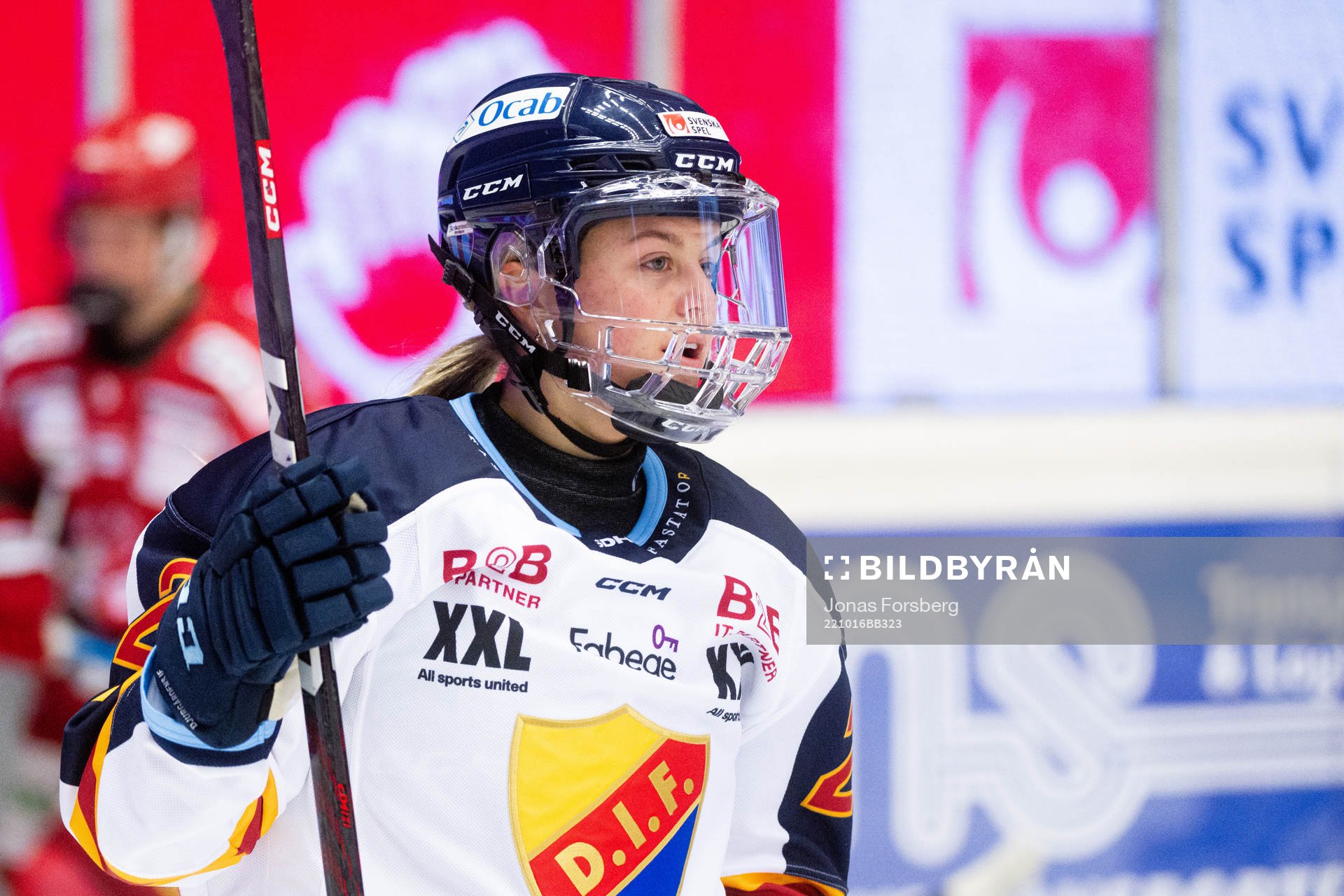Djurgårdens Brette Pettet jublar