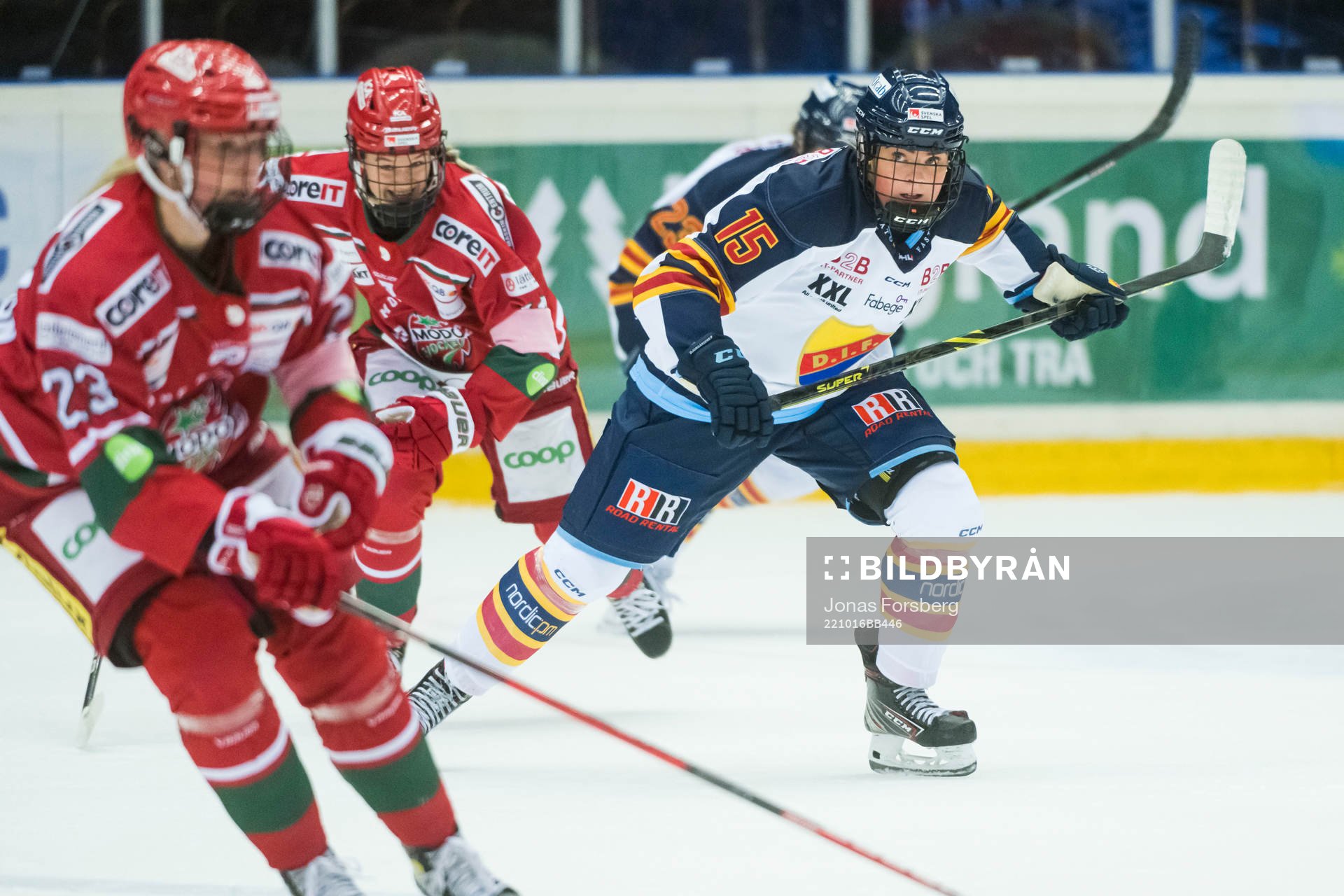 Djurgårdens Lova Blom