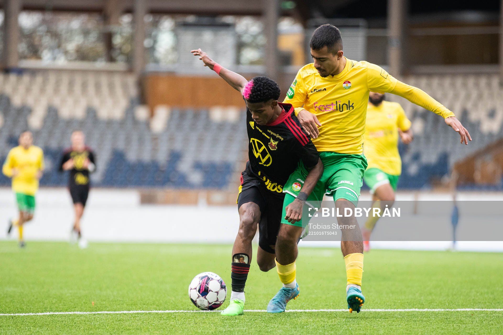 Östersunds Chovanie Amatkarijo och Dalkurds Arash