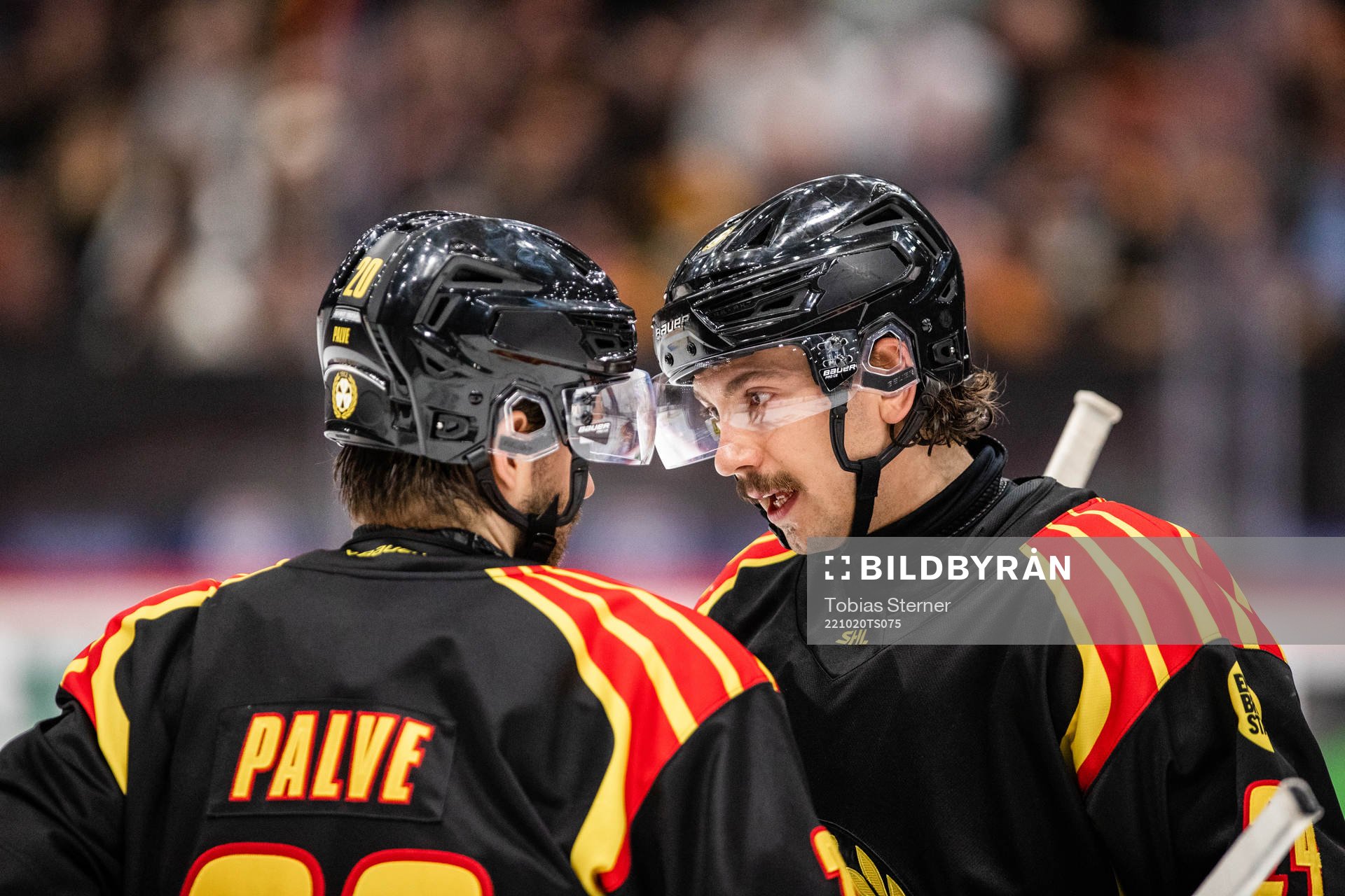 Brynäs Oula Palve och Hannes Björninen