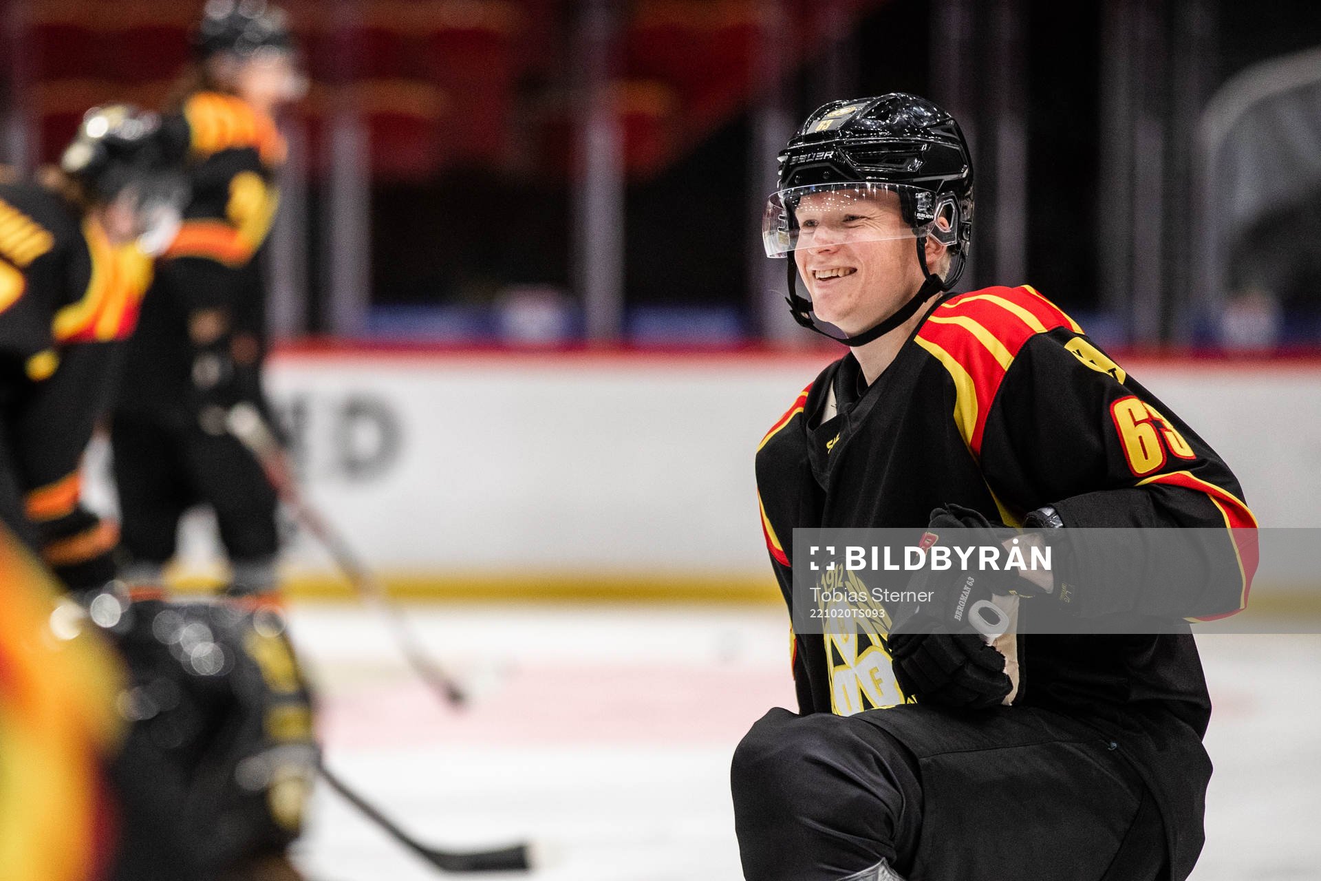 Brynäs Julius Bergman
