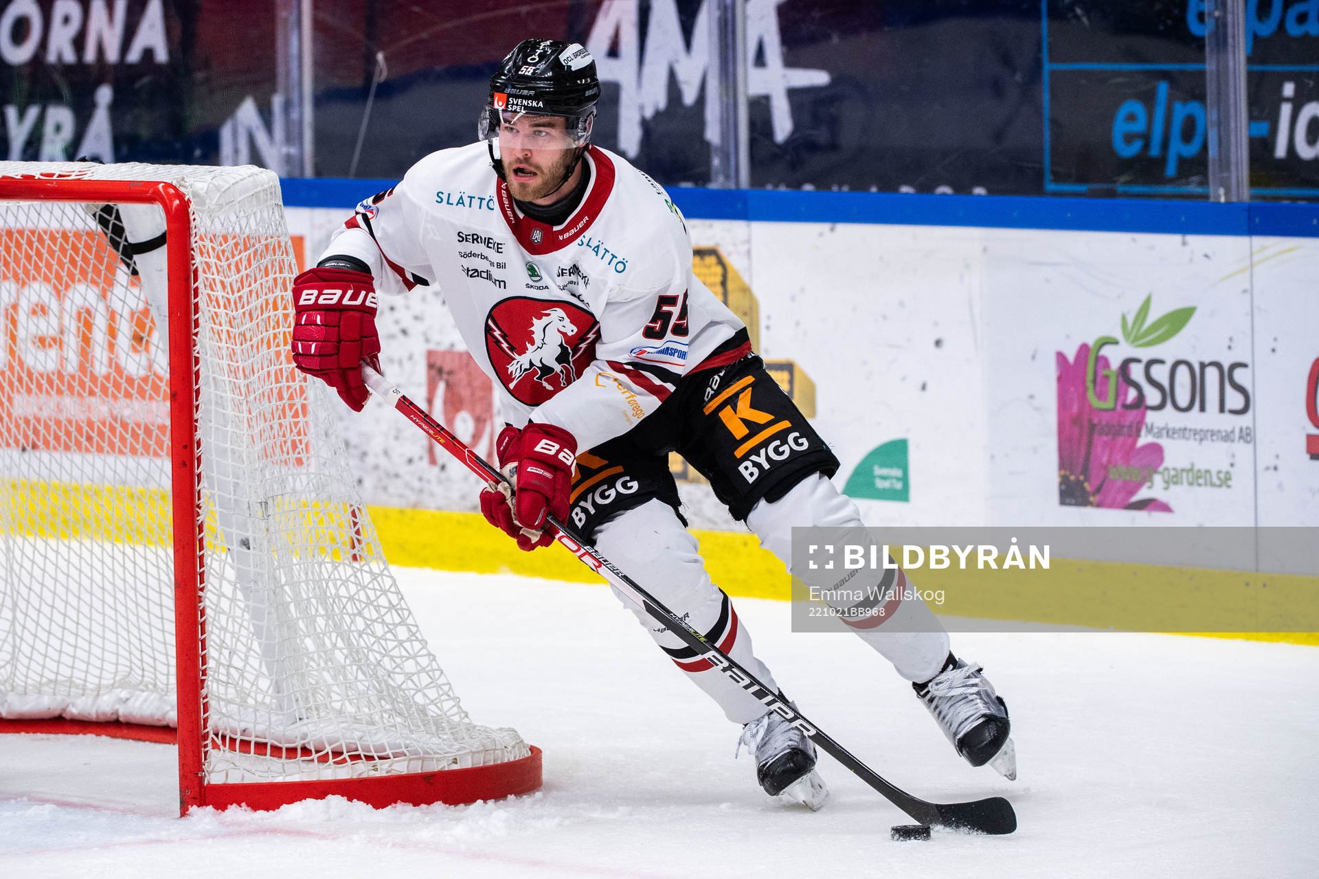 Vita Hästens Hampus Falk