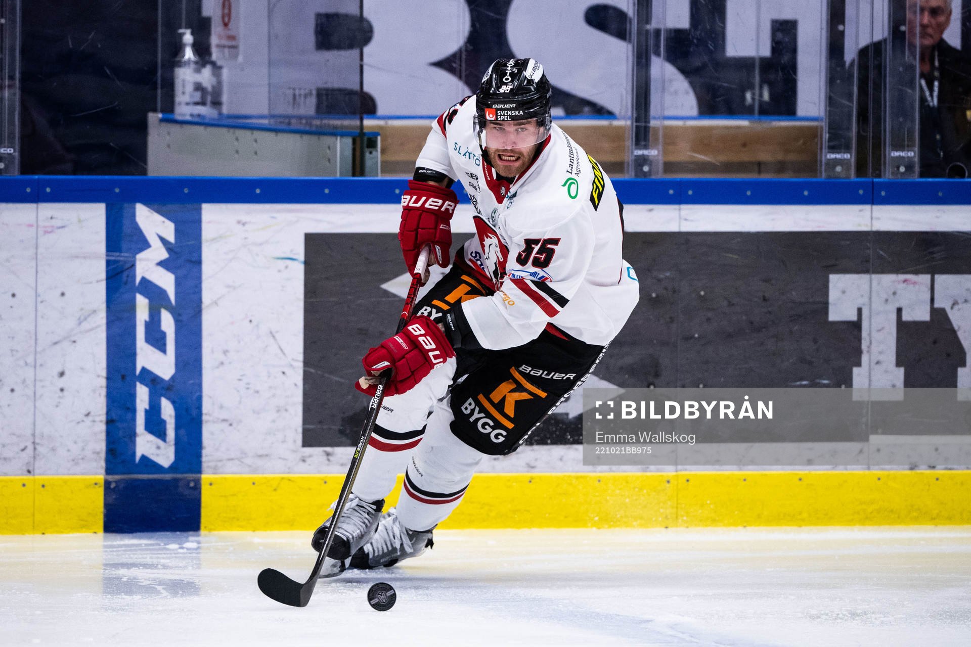 Vita Hästens Hampus Falk