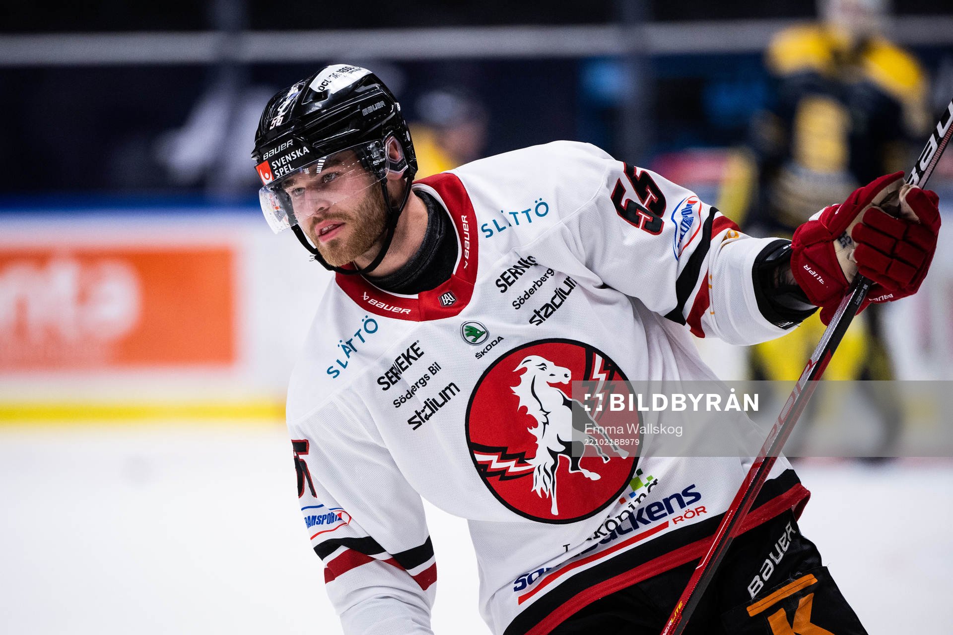 Vita Hästens Hampus Falk